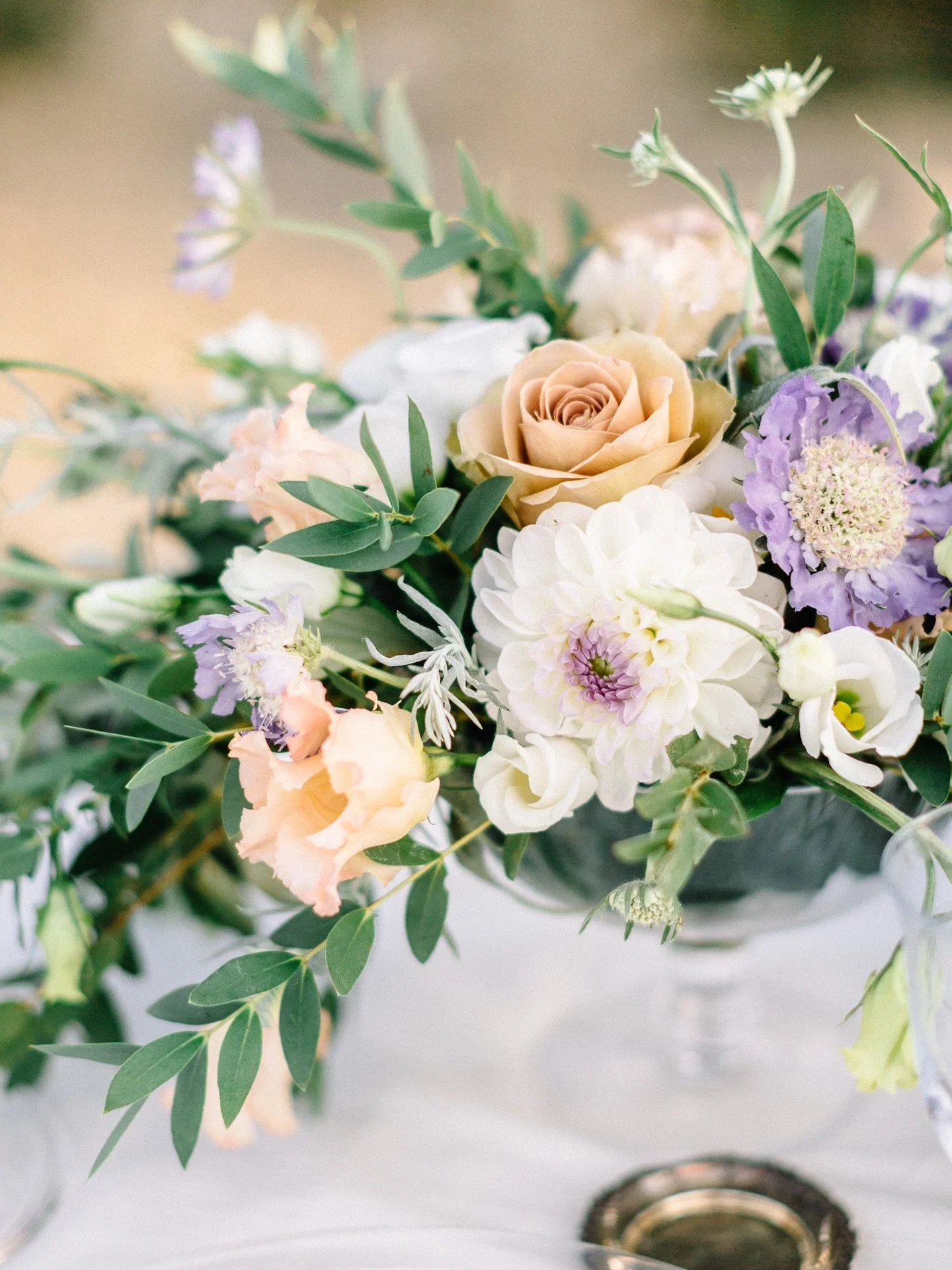 Spring is coming soon enough and so is your wedding!👑

Photos: @dorelieshofer 

#destinationwedding #europewedding #destinationweddingplanner #weddingaustria #destinationweddingaustria