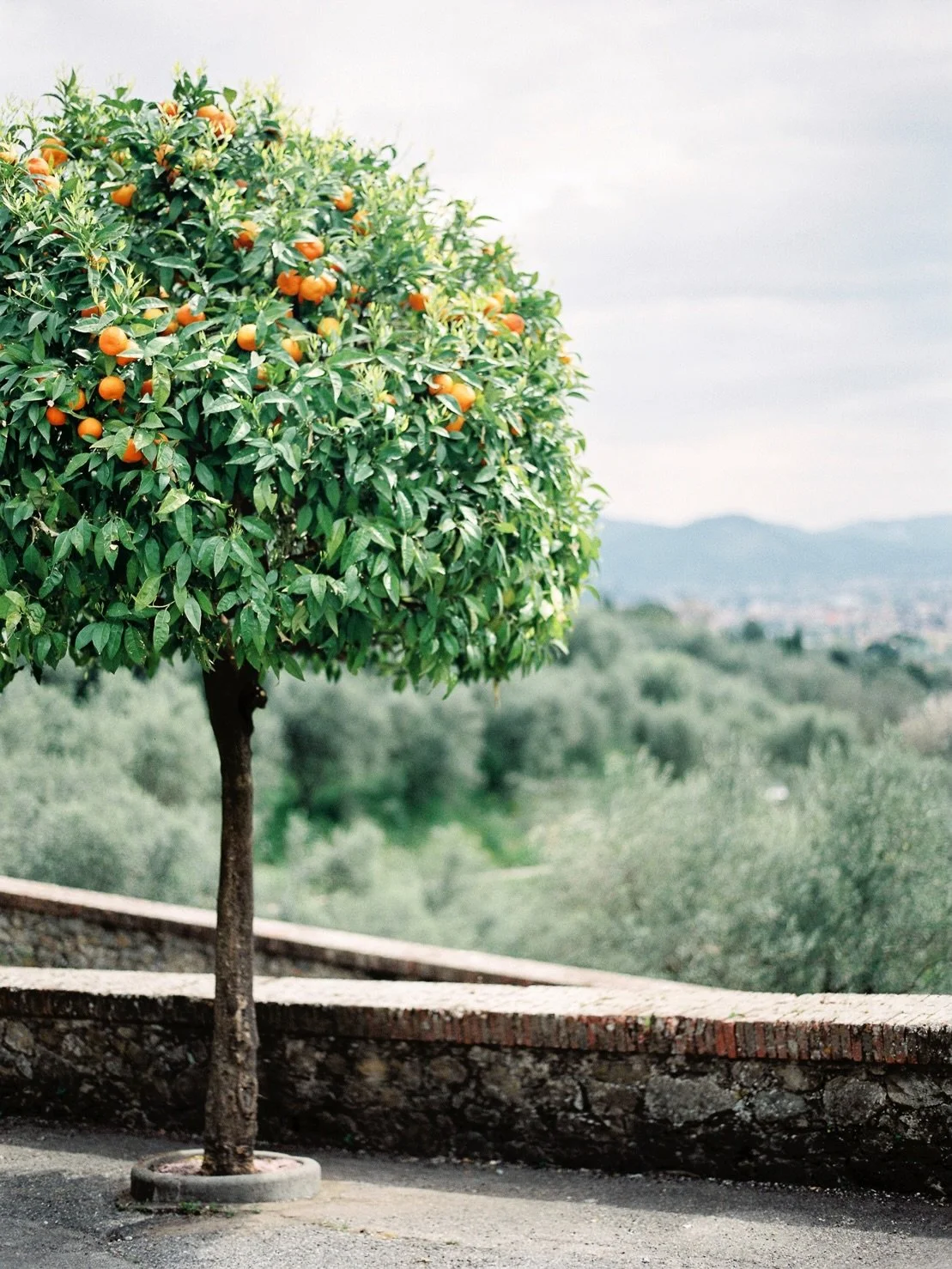 Getting married in Tuscany is truly unforgettable!🌿

Photo: @melanienedelko 

#destinationweddingplanner #gettingmarried #destinationweddingitaly 
#bestweddingplanner #tuscanywedding