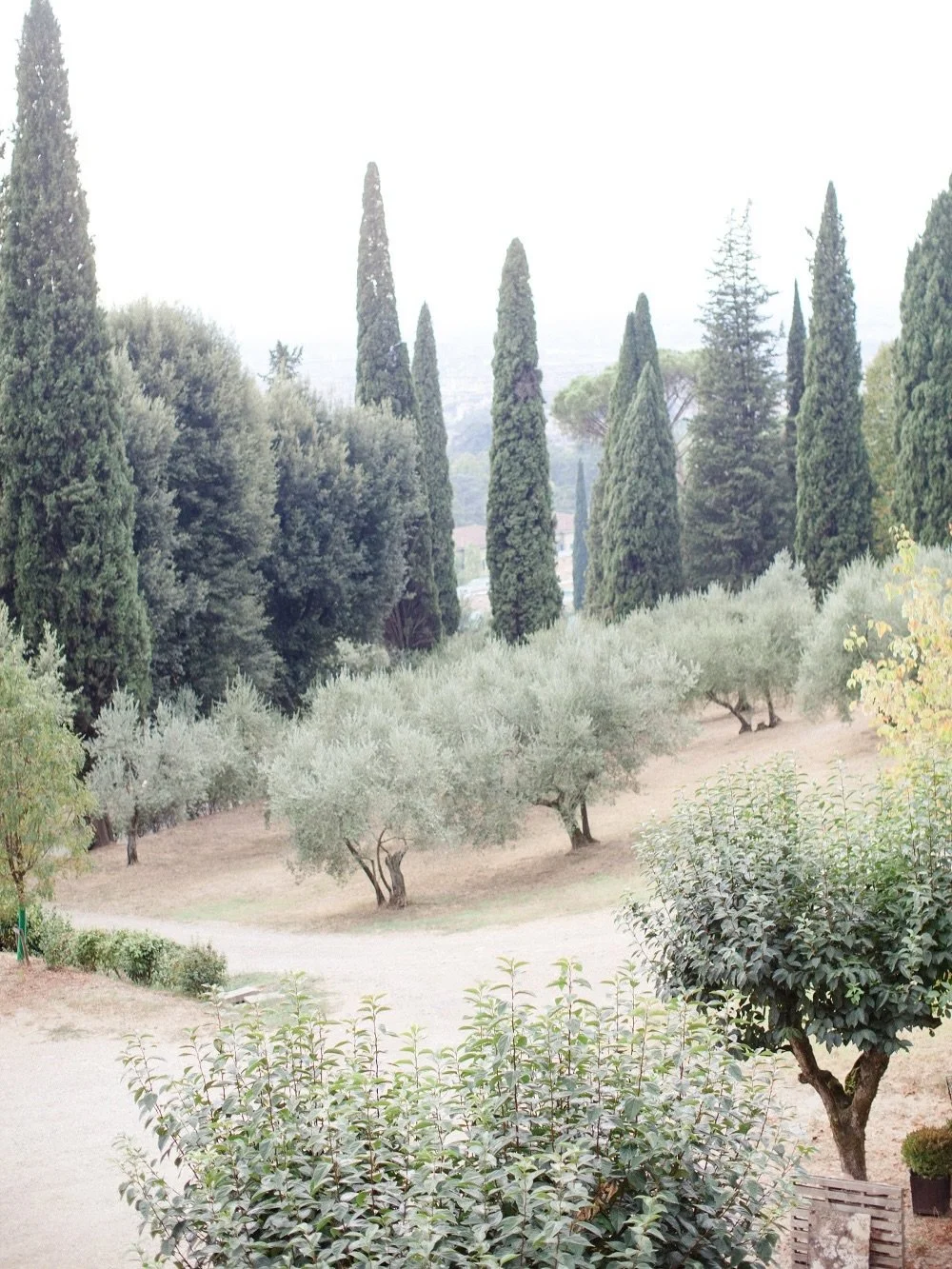 Tuscany Destination Wedding 🤍👑 at stunning @villalefontanelle 

Photo: @atelieraberg 
As seen on @stylemepretty

#destinationweddingplanner #gettingmarried #destinationweddingitaly 
#bestweddingplanner #fineartwedding