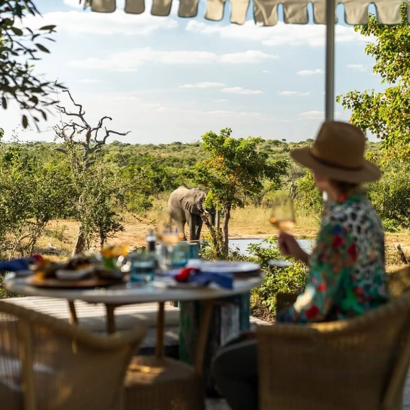 Travel Tuesday| @royalmalewane 🇿🇦 

A personal favorite set within the Thornybush Private Game Reserve, bordering the iconic Greater Kruger National Park, Royal Malewane offers an unrivaled safari experience in the heart of South Africa&rsquo;s low