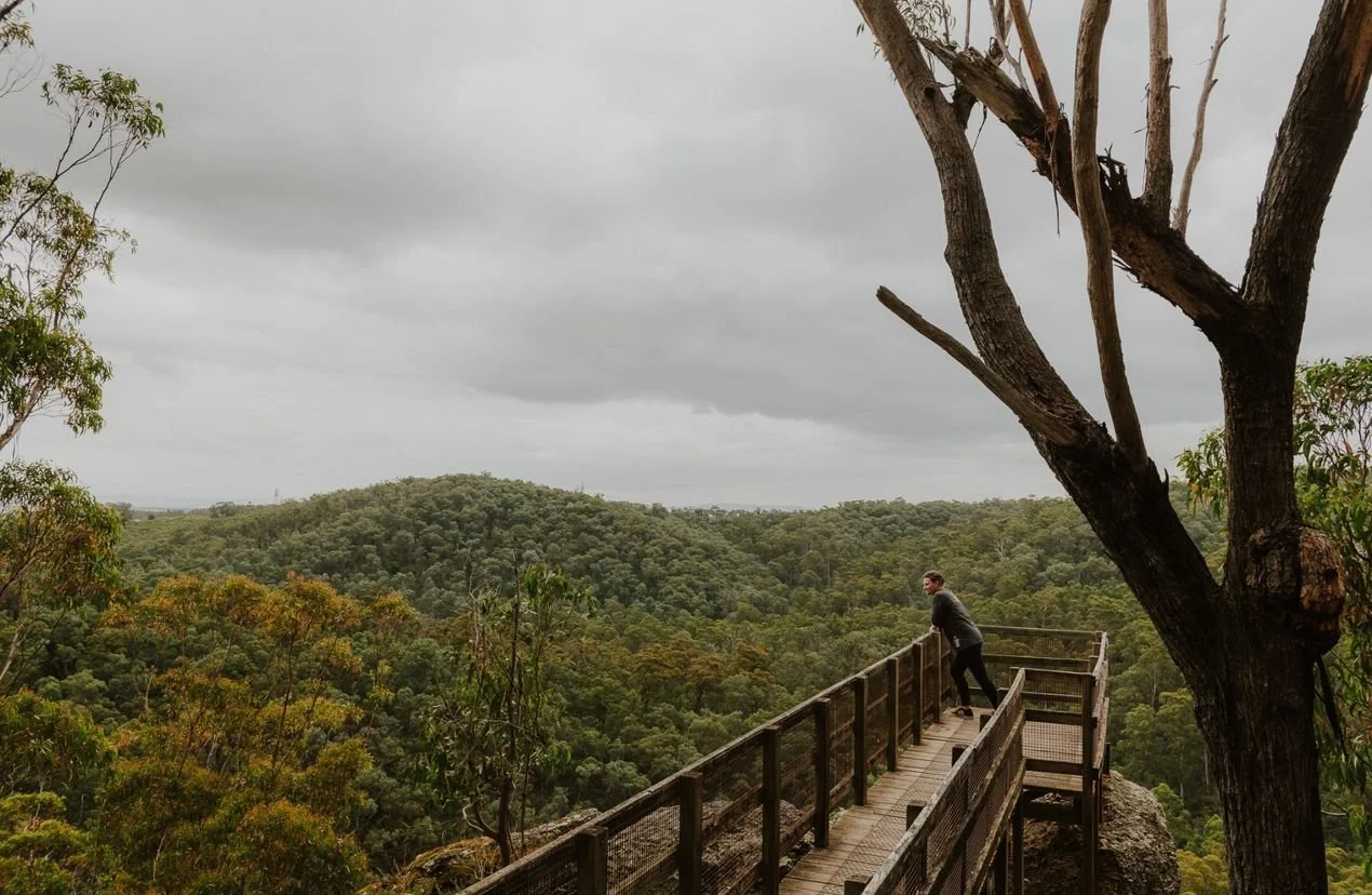 Petersons-Lookout-Man-standing-on-viewing-platform-overlooking-gorge-in-Tyers-Park_5592b0210488f5a8190c72fa41115a6f.jpeg