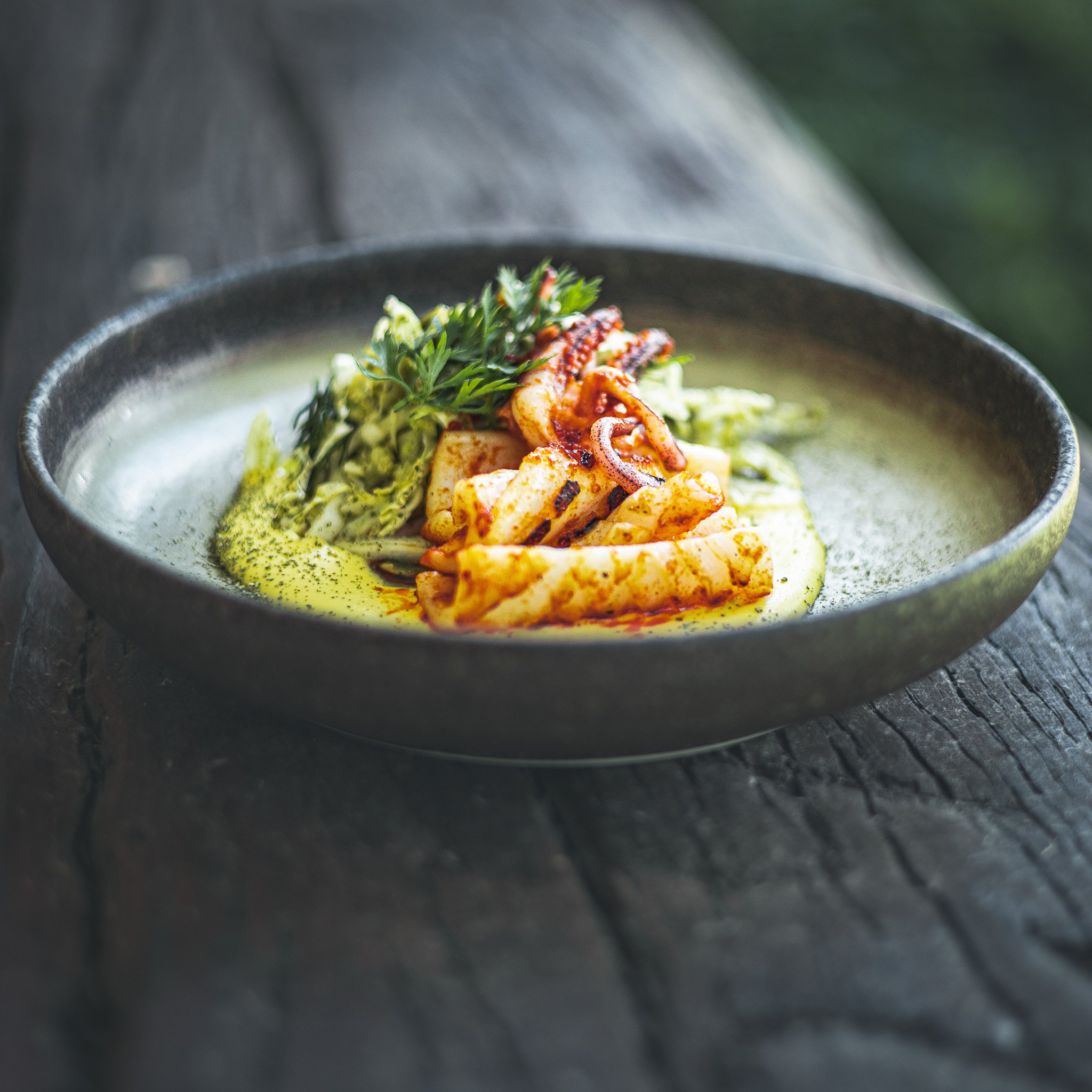 Tinamba January 2024.Capture.0244.jpg