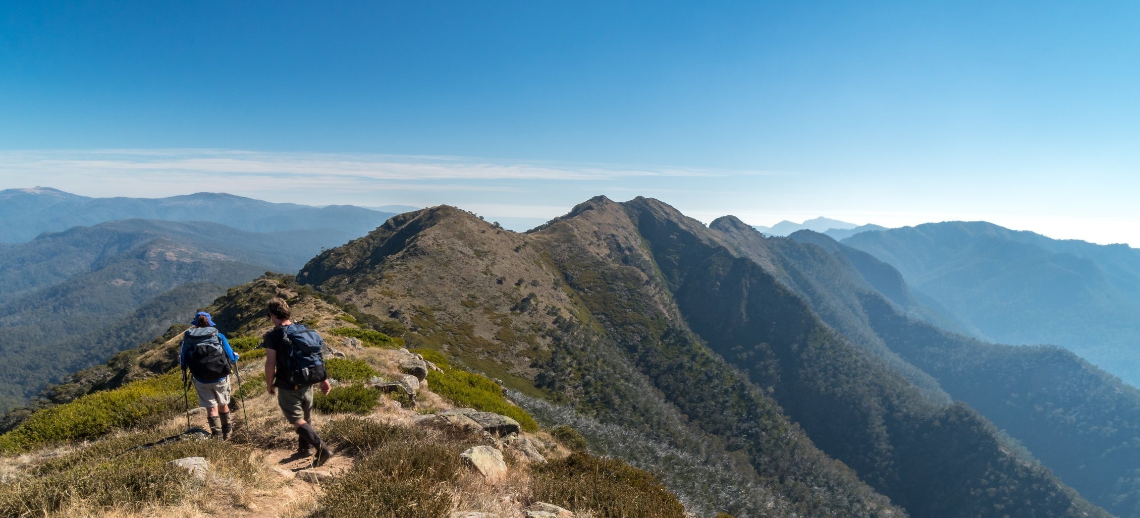 Cross Cut Saw-3 Hiking Trail.jpg