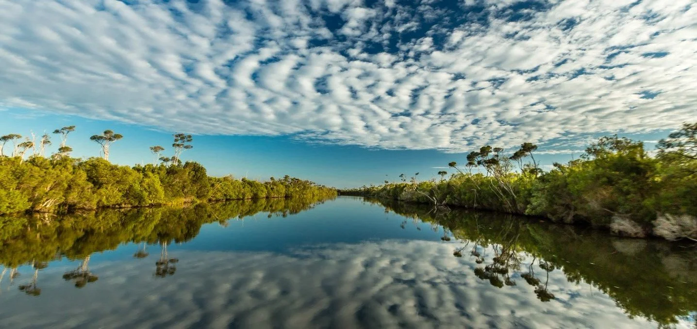 Loving Nature - Traill Estate.jpg