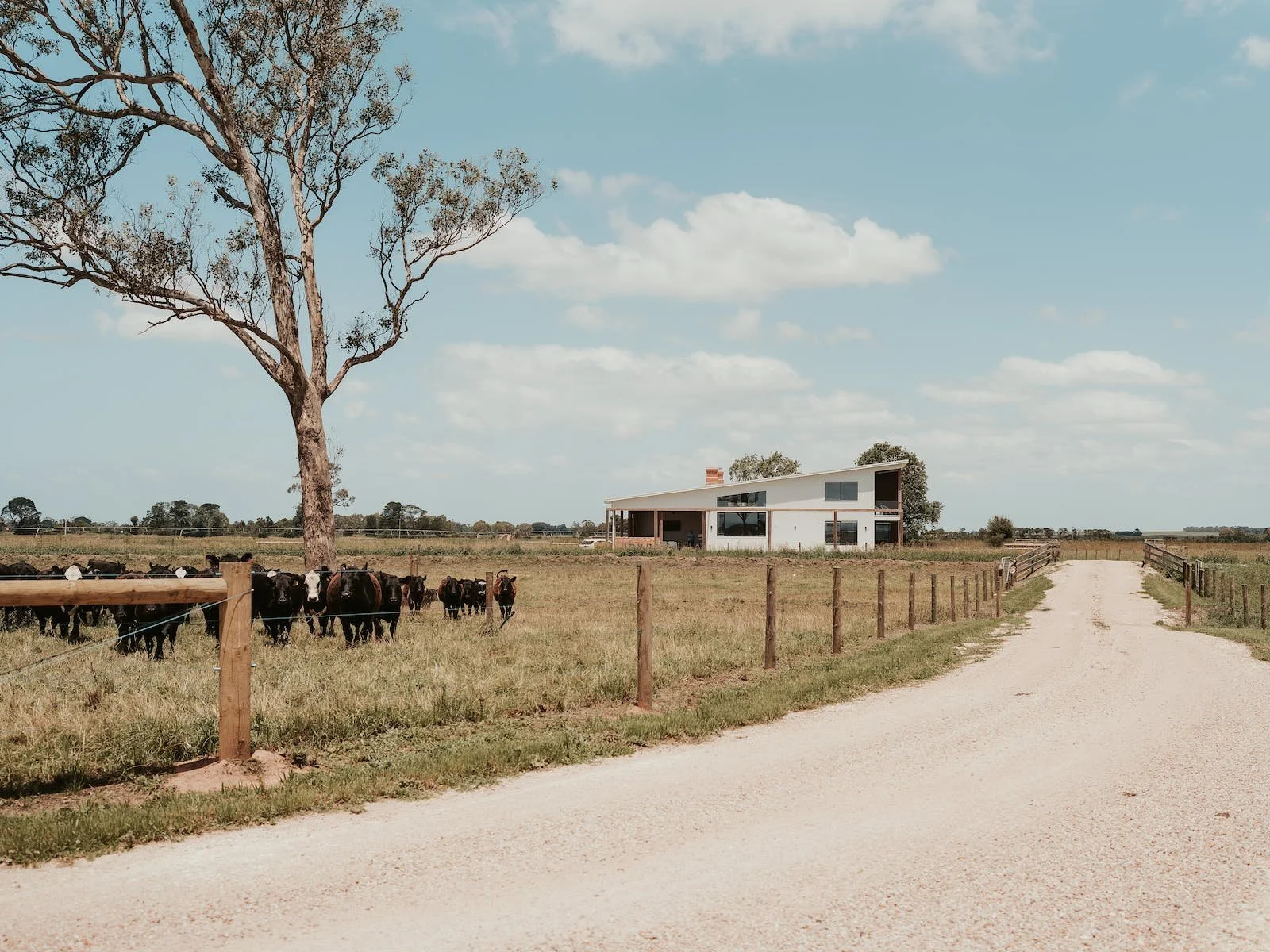 Dalrose Retreat5.jpeg