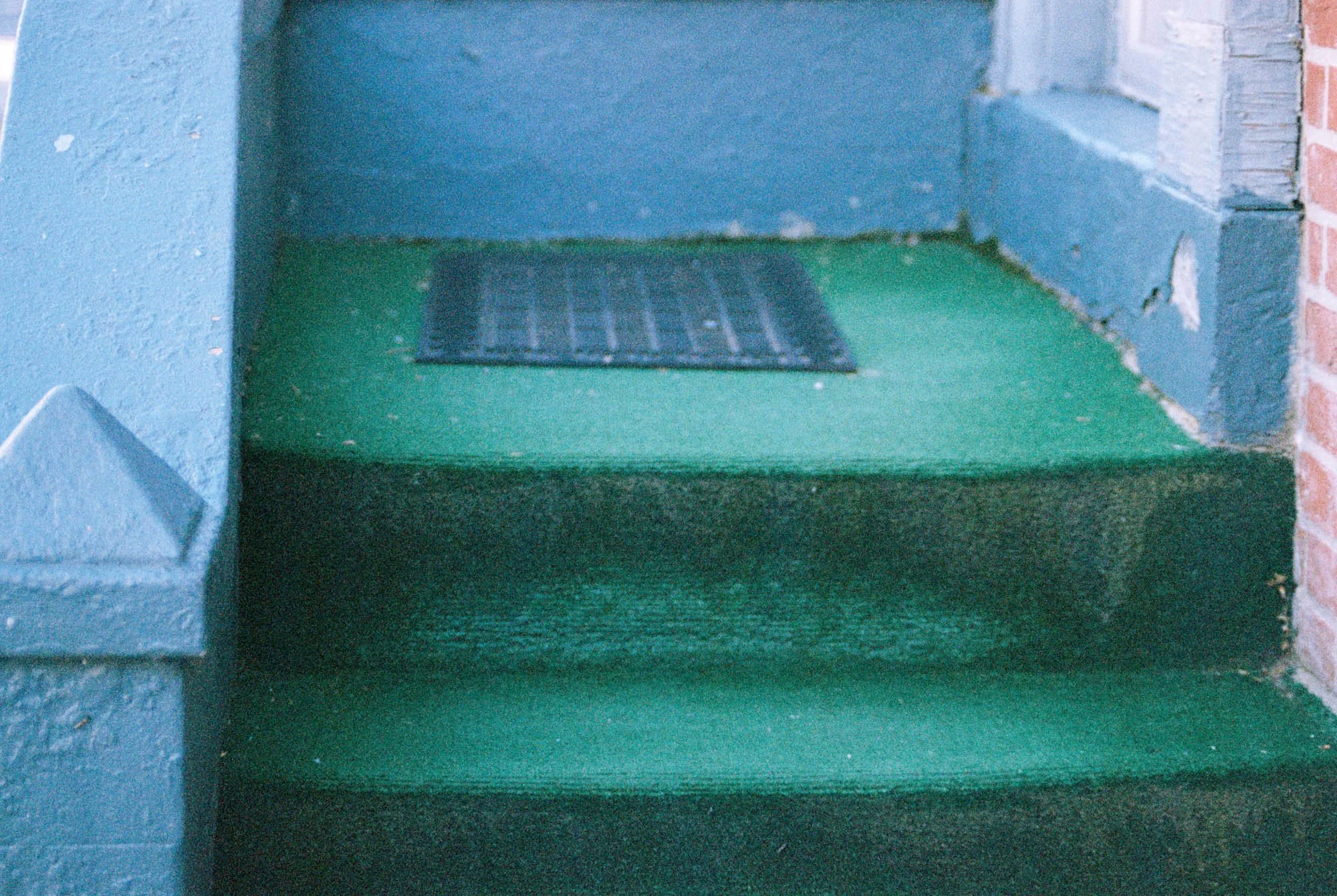 Green-Steps-Hannah-Meier.jpg