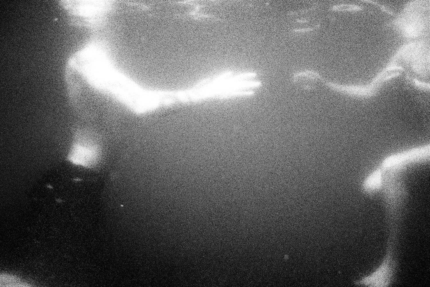 underwater_grain_hannah_meier.jpg