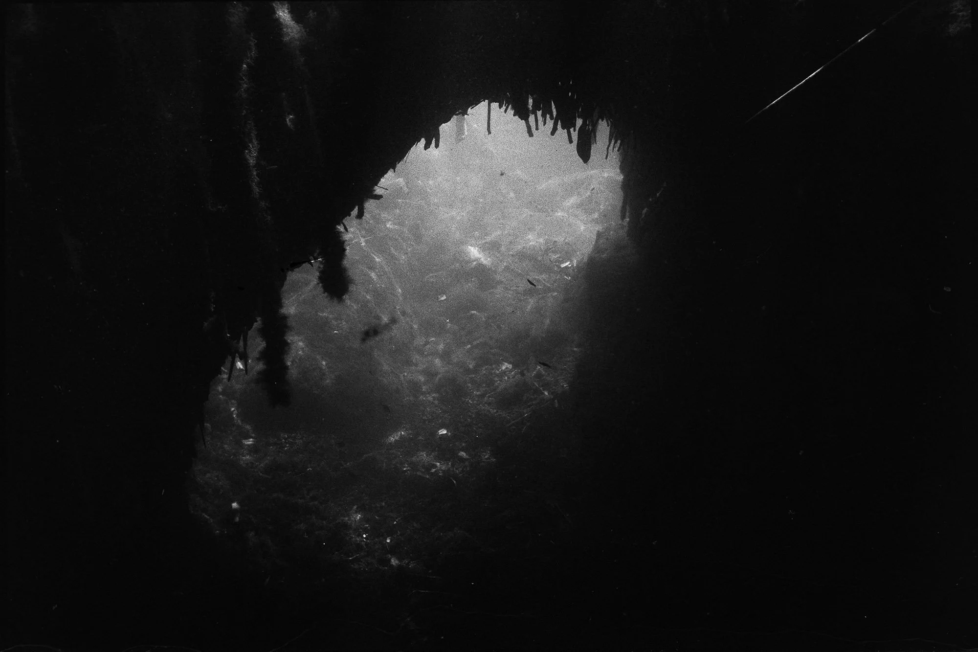 Cave-Underwater-Hannah-Meier.jpg