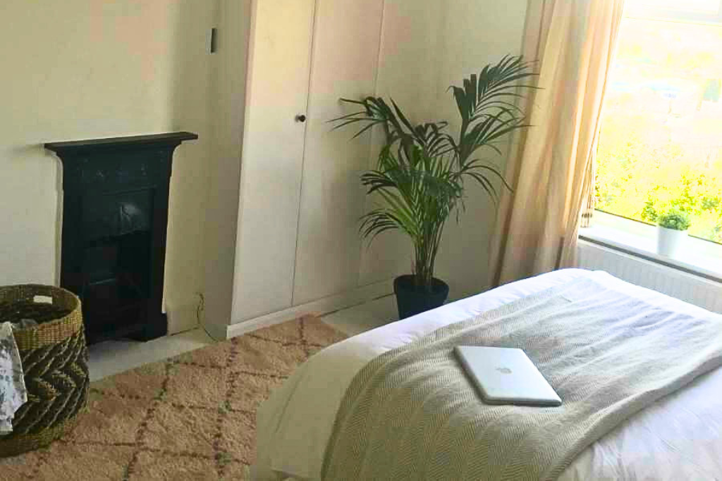 Bedroom with a bed, a laptop, a large potted plant near the window, and a small decorative fireplace.