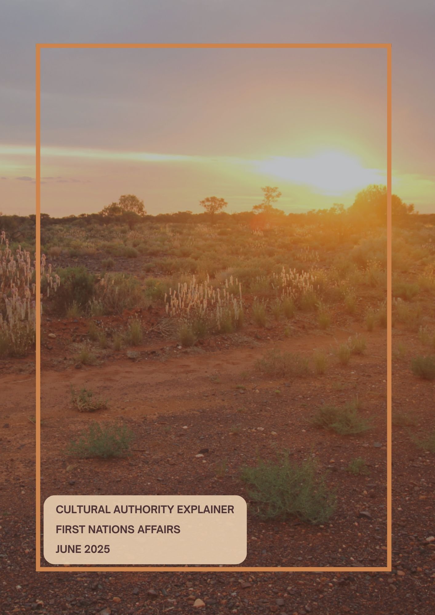 Desert landscape at sunset with dry red soil and sparse vegetation, including small bushes and cacti, under a partly cloudy sky, with a warm glow from the setting sun.