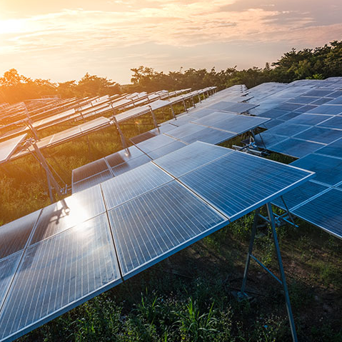 Article discussing how supporting Indigenous economies can help solve climate change, featuring Rebecca Blurton, a Ballardong Noongar advisor working with climate-focused organizations.