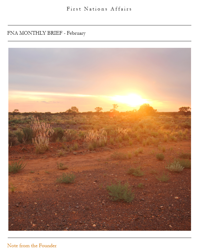Desert landscape at sunset with dry red soil and sparse vegetation, including small bushes and cacti, under a partly cloudy sky, with a warm glow from the setting sun.