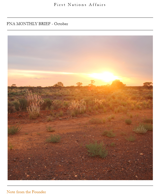 Desert landscape at sunset with dry red soil and sparse vegetation, including small bushes and cacti, under a partly cloudy sky, with a warm glow from the setting sun.