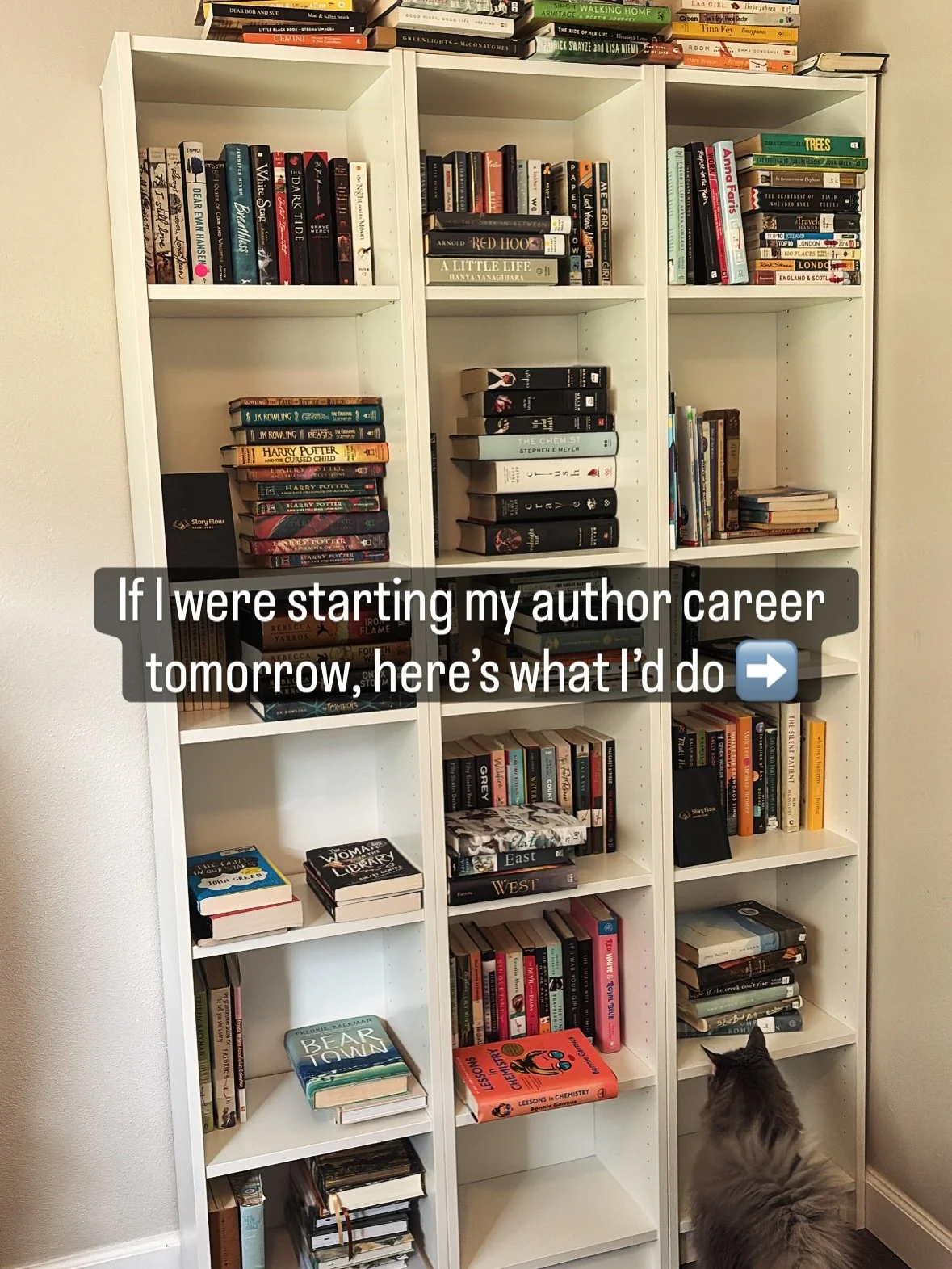 If I were starting my author career from scratch tomorrow, here&rsquo;s what I&rsquo;d actually focus on (and why 👇):

💰 I&rsquo;d save up $5K before publishing.
Not to overspend&mdash;but to have the freedom to make smart investments in editing, c