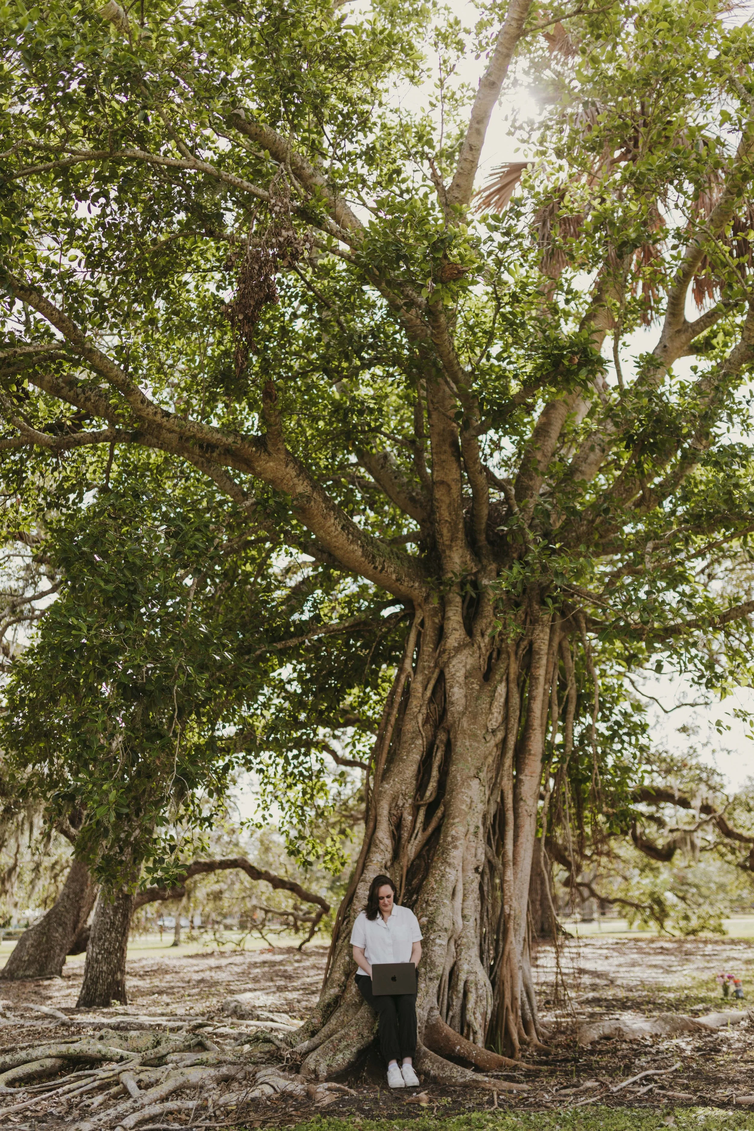 A woman working on a laptop while sitting at the base of a large tree in a park.