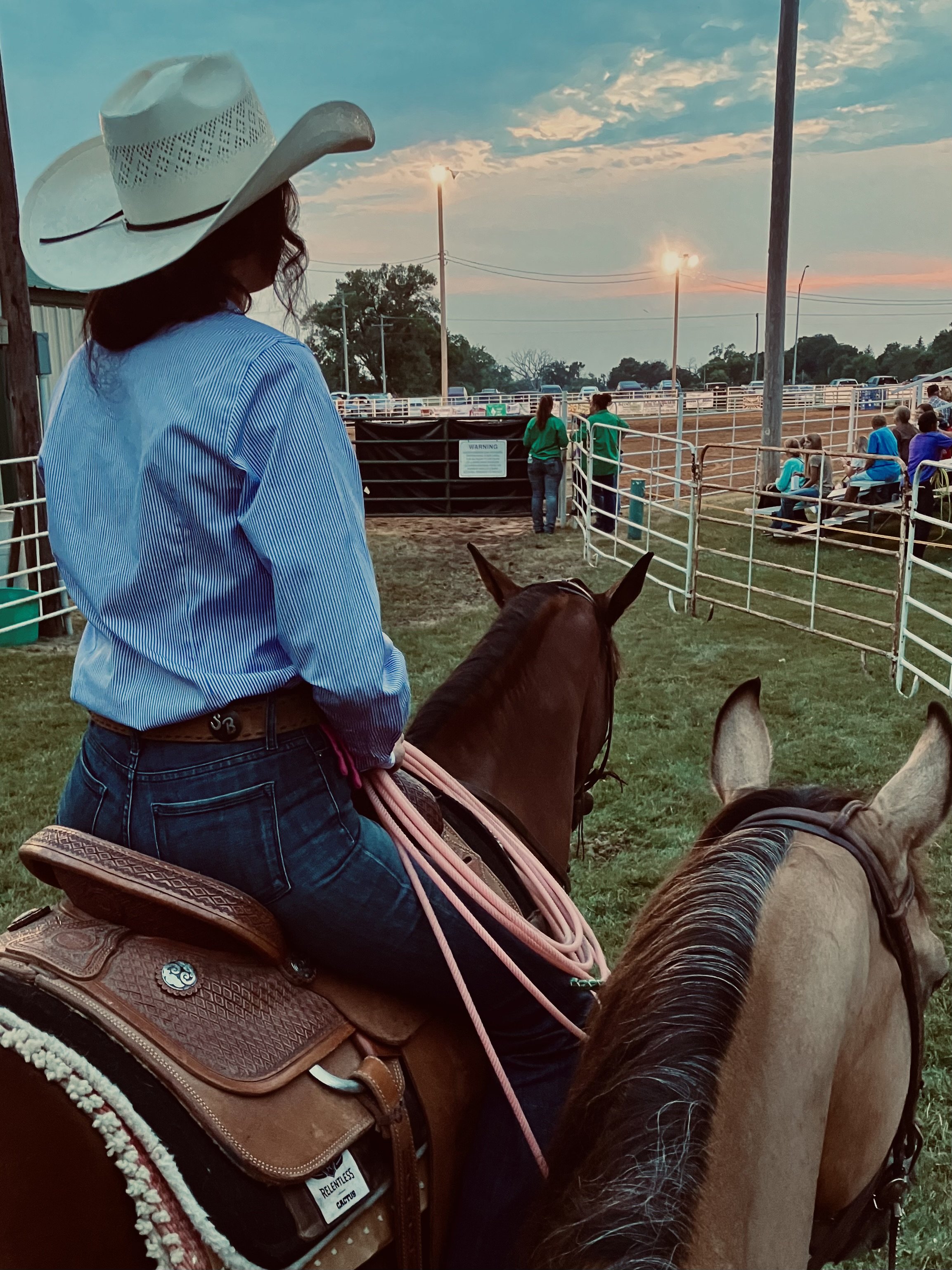 The Ultimate Guide to Horse Lease Agreements: What Every Owner and Lessee Should Know