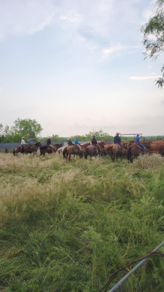 Protecting Your Legacy: Estate Planning in Agriculture