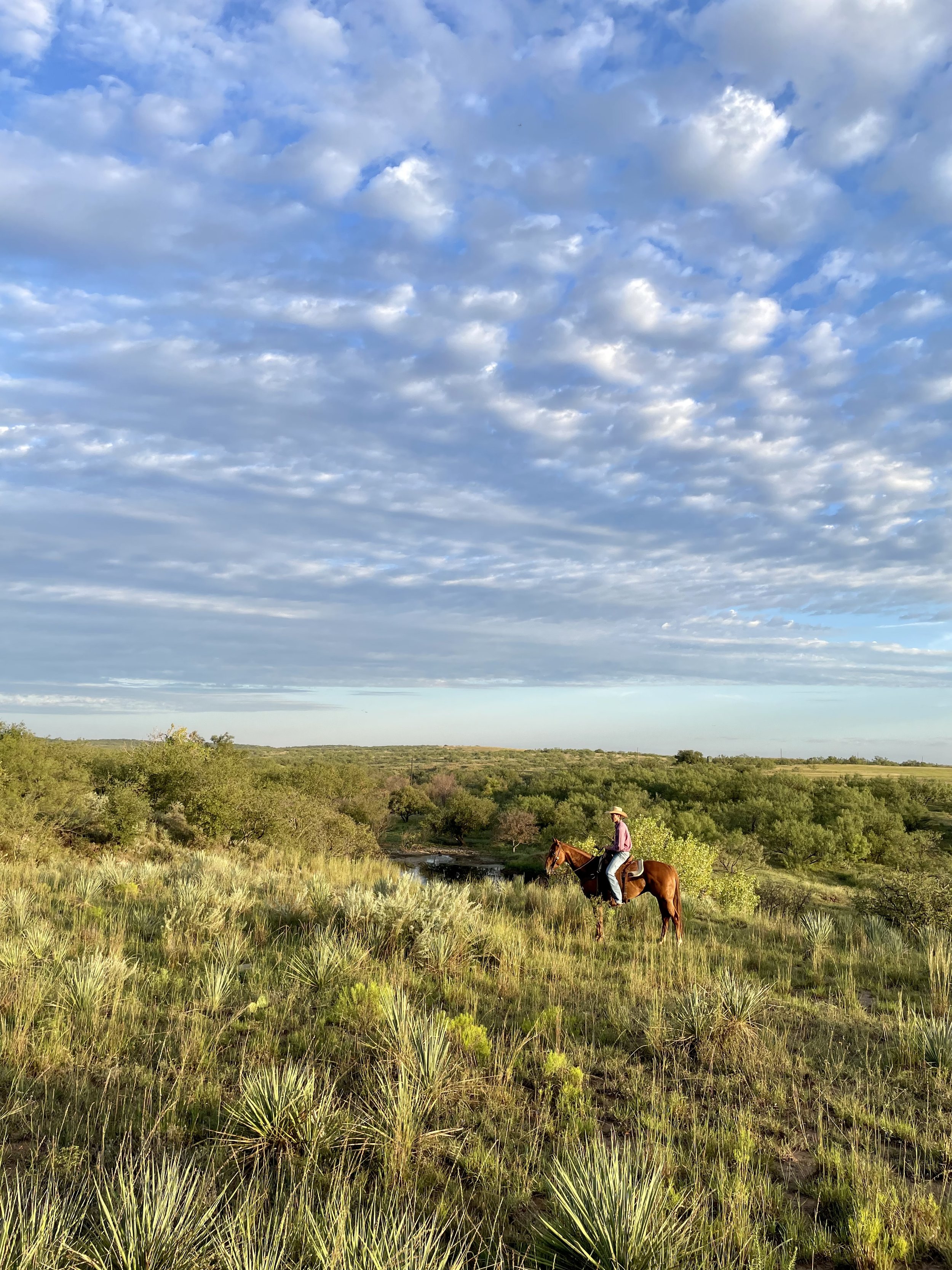 Ag Leases That Don’t Get You Sued: What Landowners Need to Know