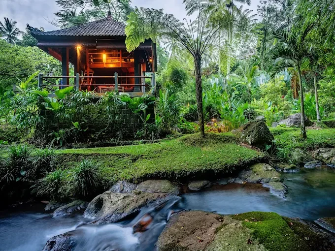A Bali Retreat with Alma