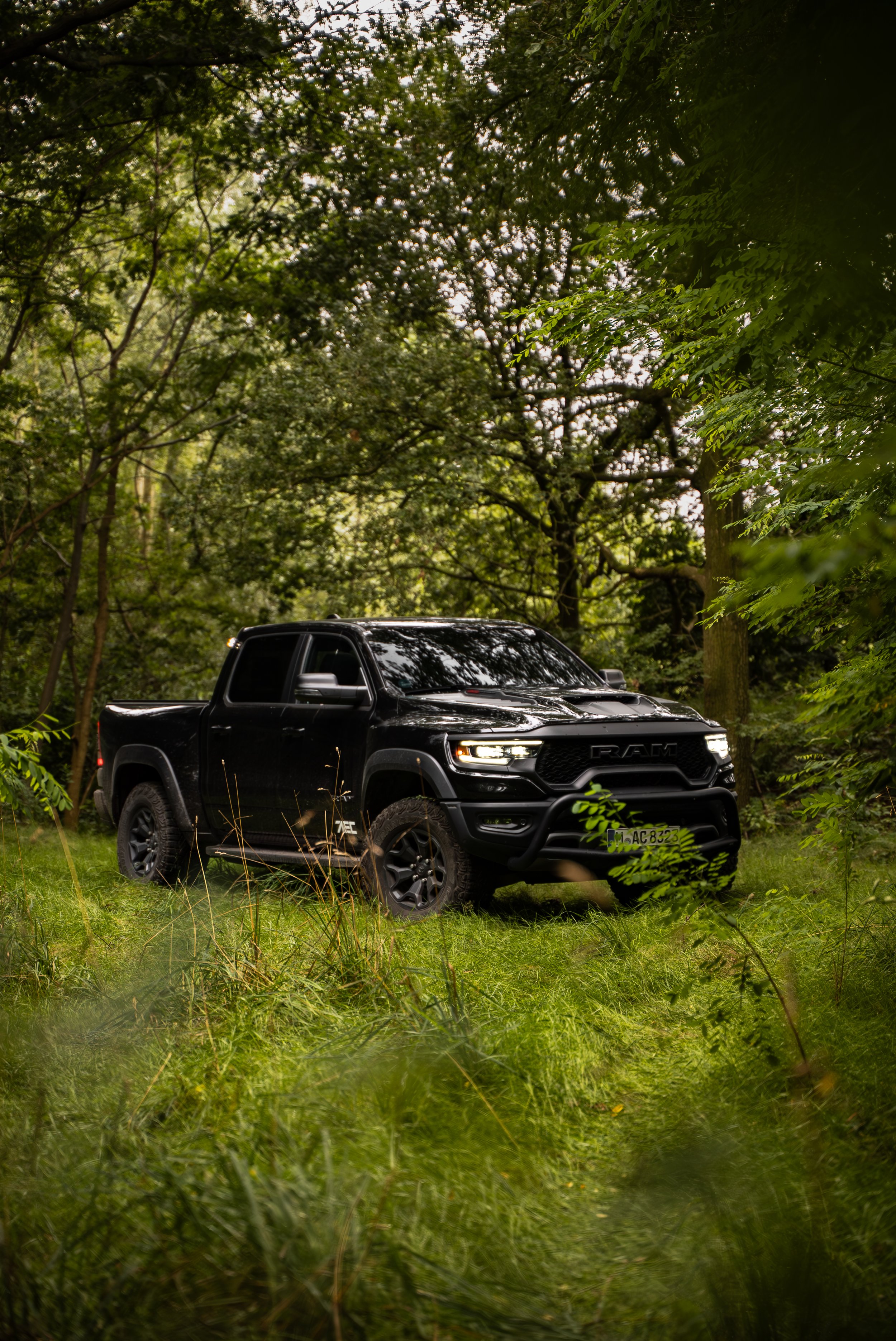 RAM TRX