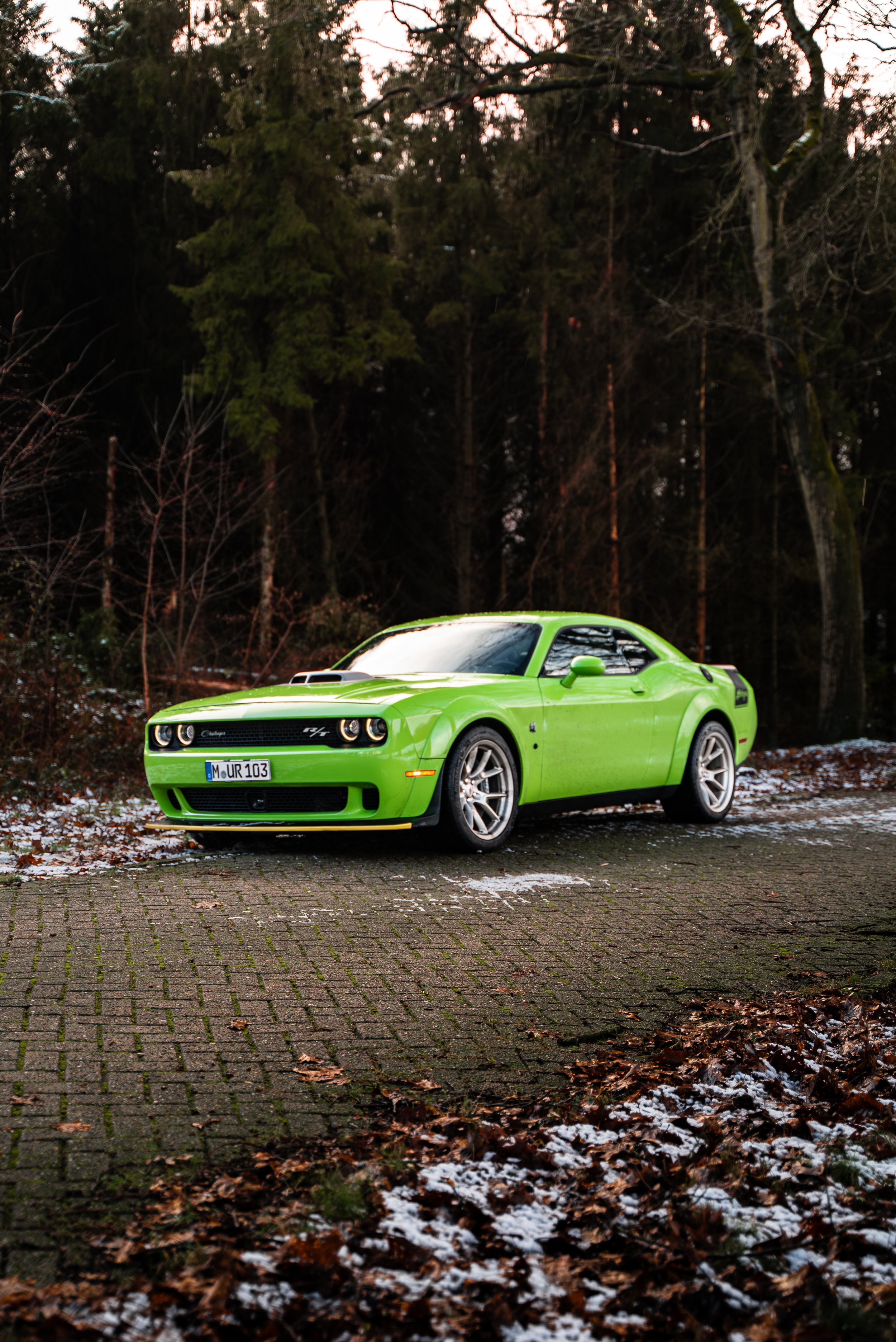 2024 Dodge challenger Swinger