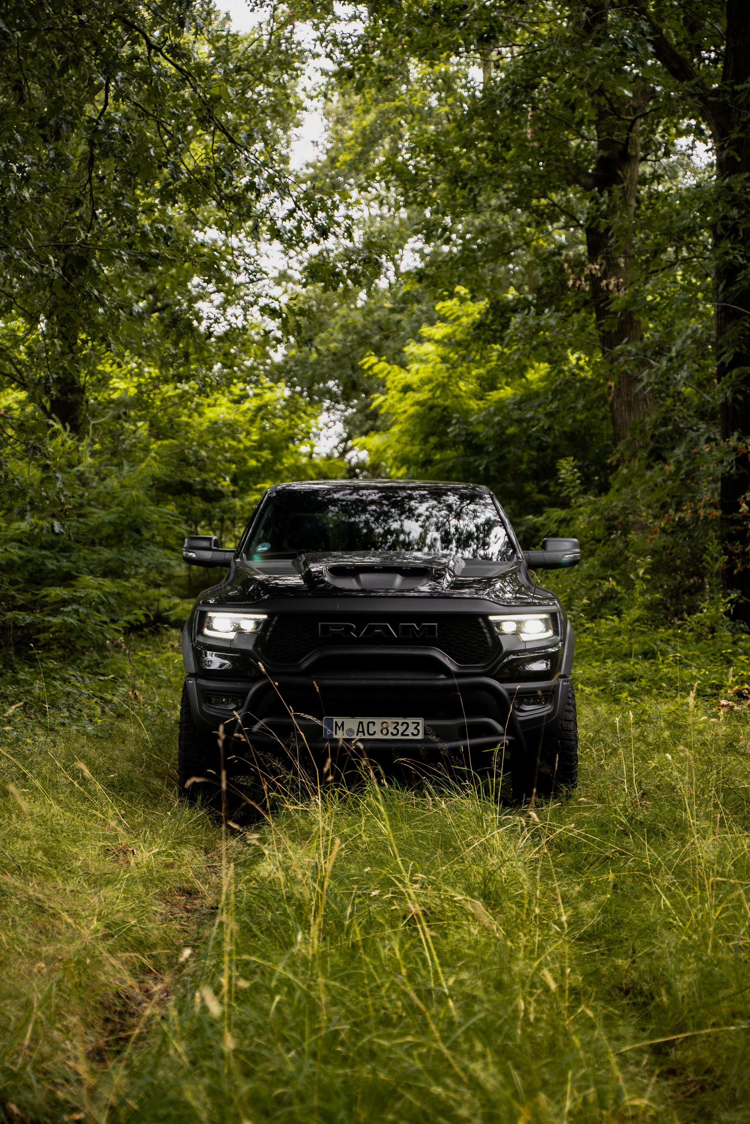 RAM TRX