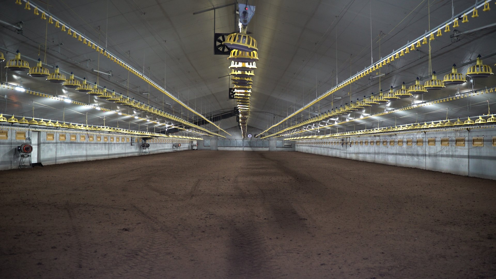 Ingestrooide Kippenstal