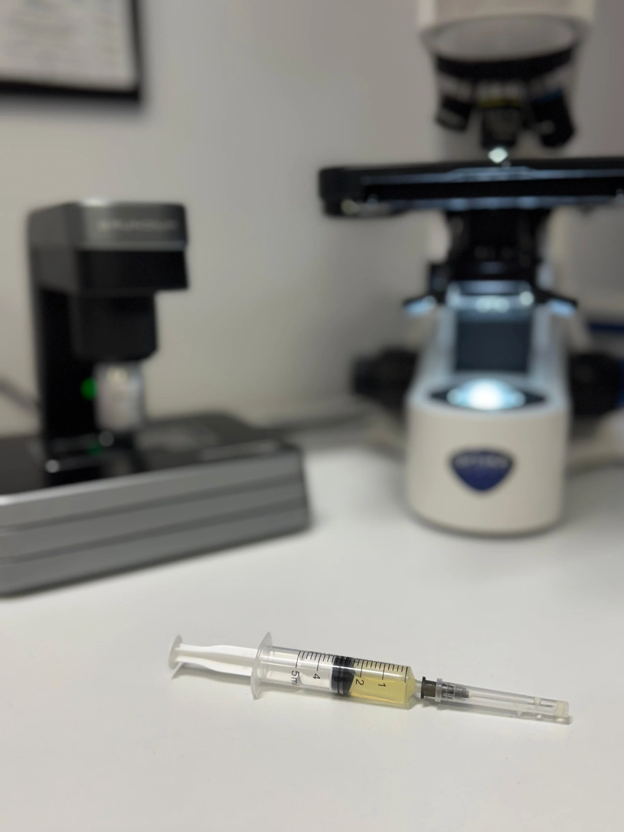 Tot ce trebuie să știi despre sedimentul urinar la câini și pisici: Un instrument esențial în diagnostic și prevenție