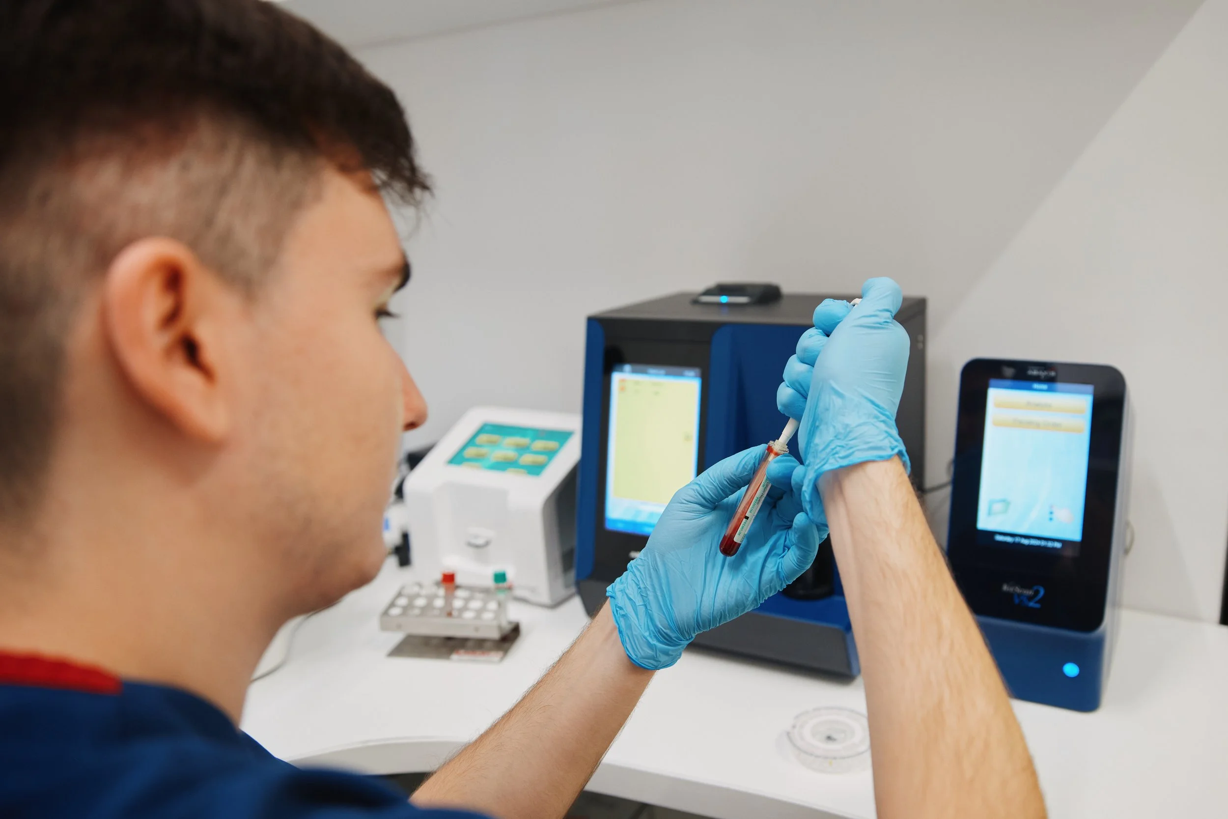 Rolul analizelor de sânge și urină în depistarea precoce a bolilor renale la câini și pisici