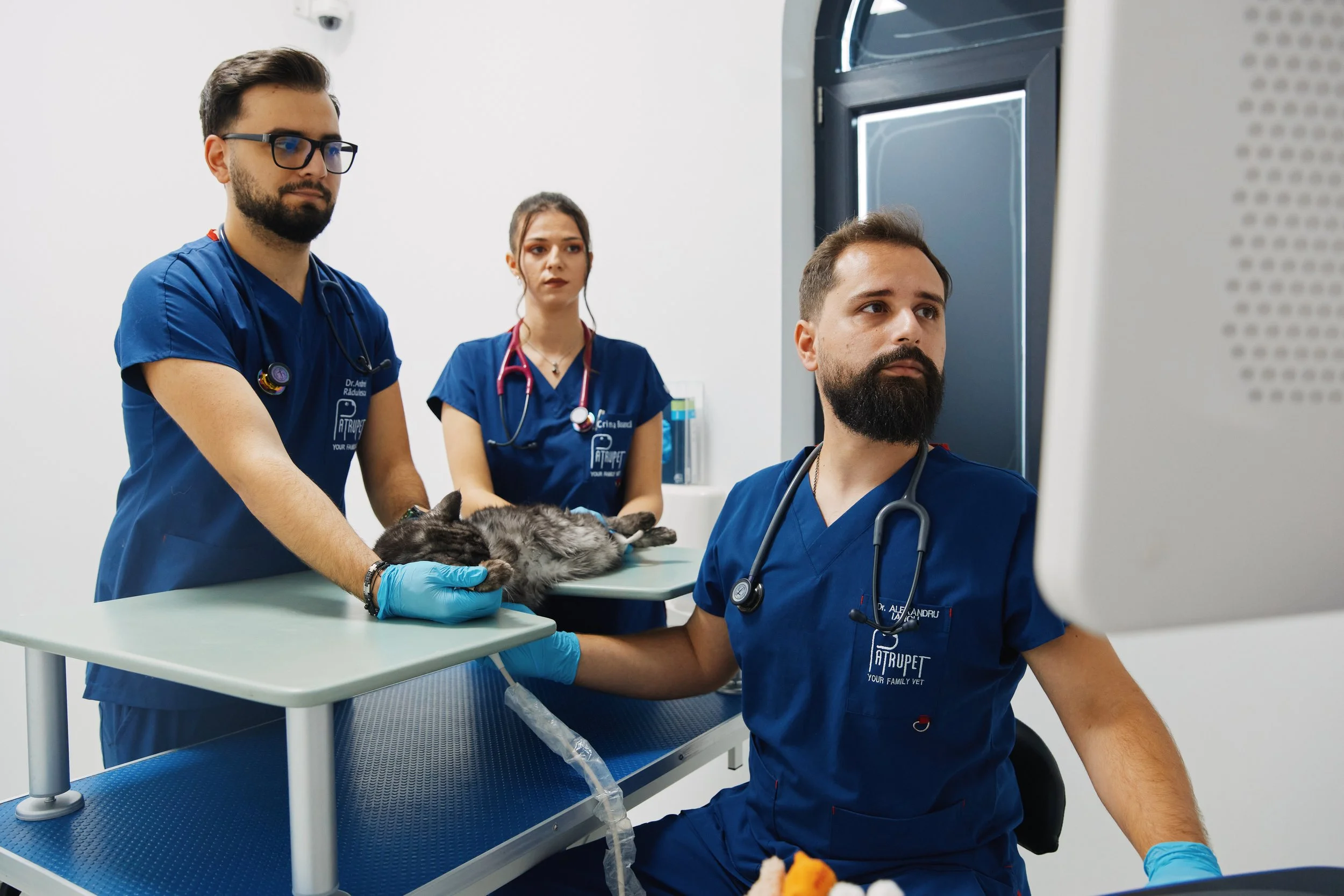 De ce vizitele regulate la medicul veterinar pot prelungi viața animăluțului tău (și ce riști dacă le amâni)