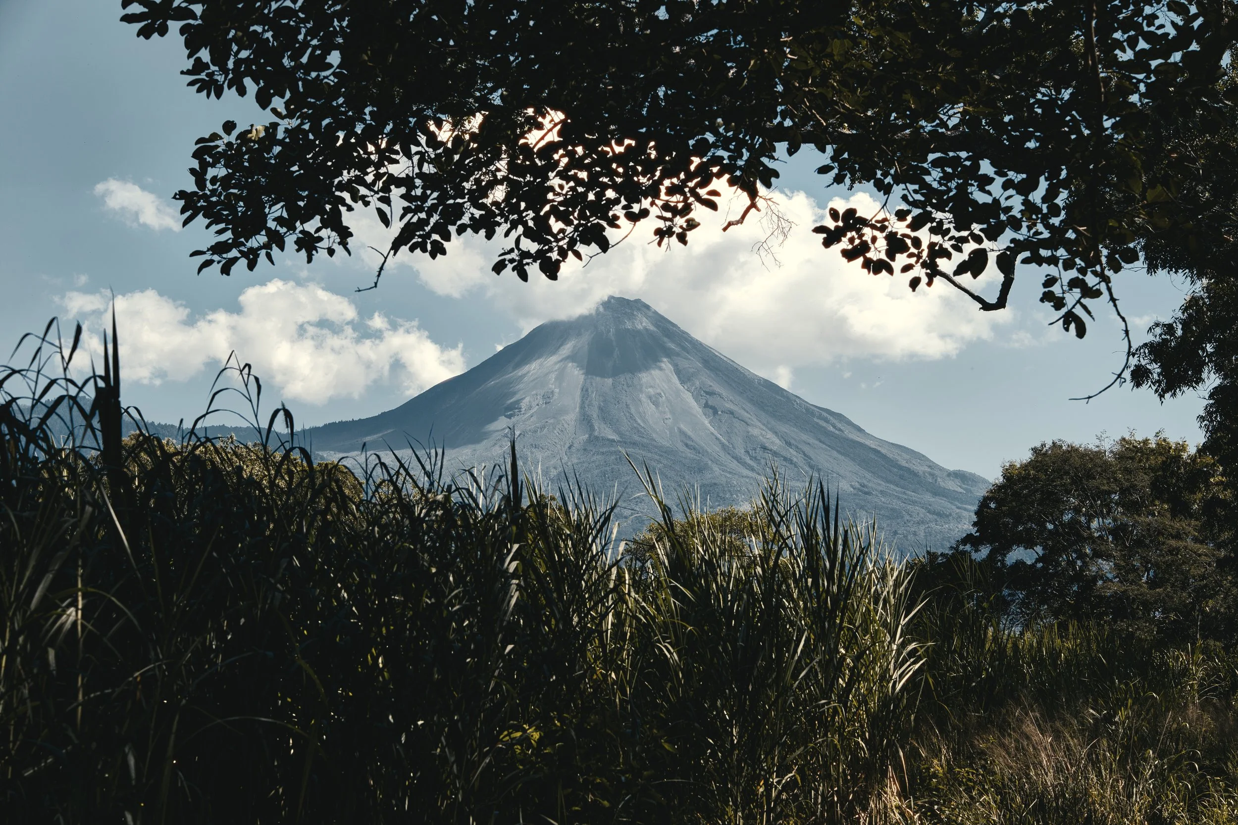 DSCF5216%203 Edited.jpg