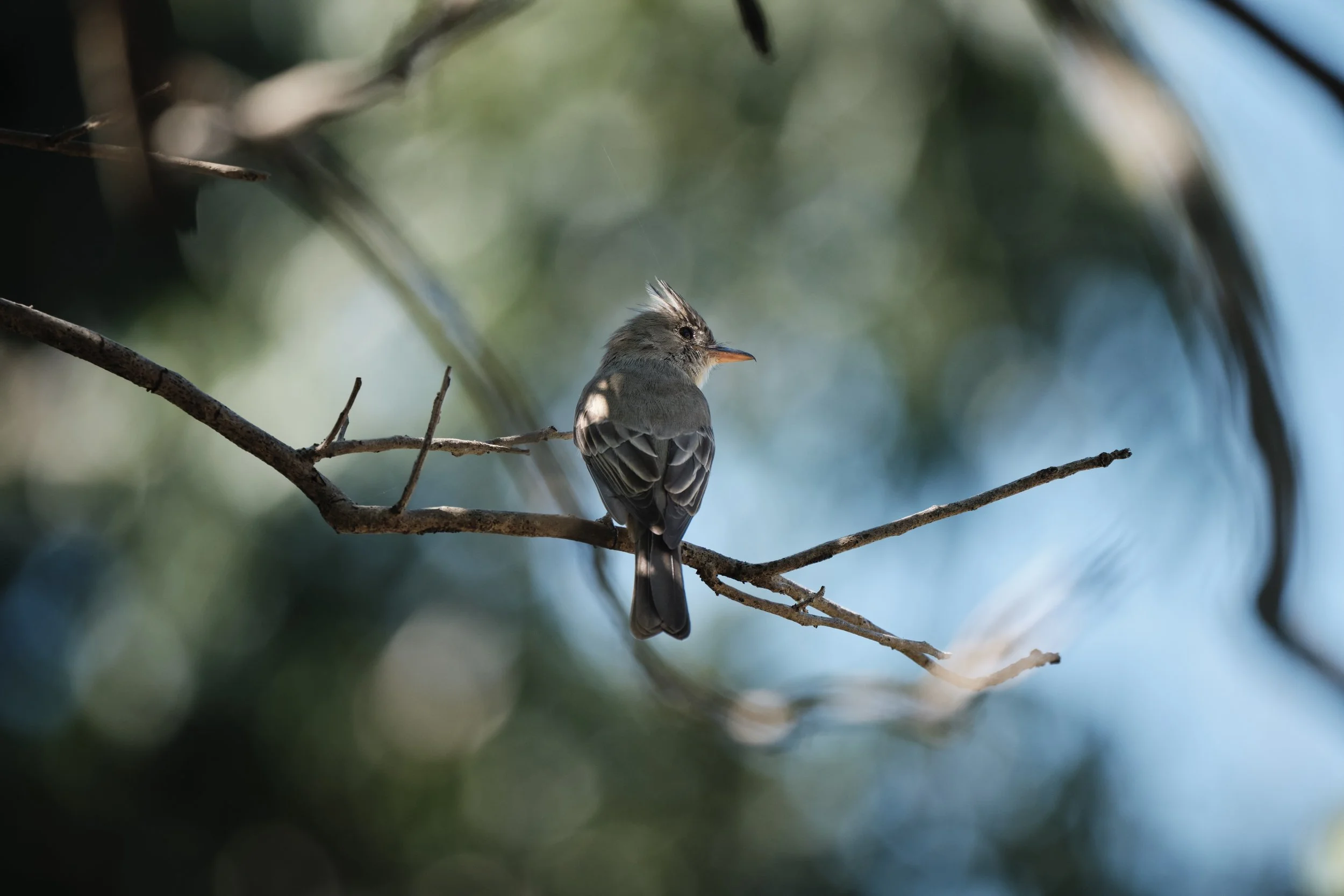 DSCF1452%201 Edited.jpg