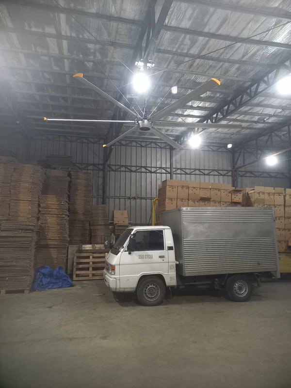 12 ft HVLS Industrial Ceiling Fan
Vegetable Storeroom
Maa, Davao