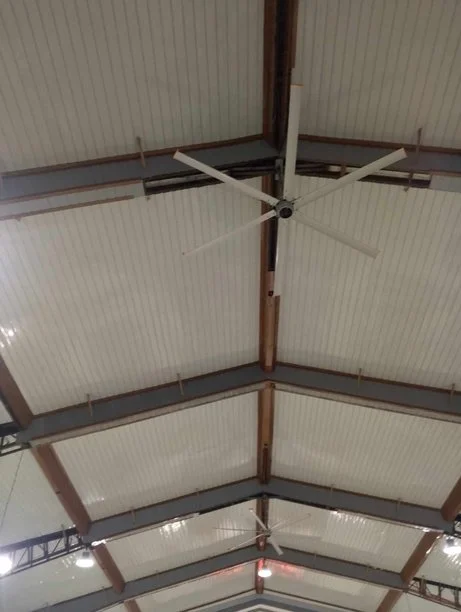 Ceiling with metal beams and two ceiling fans in a large indoor space.