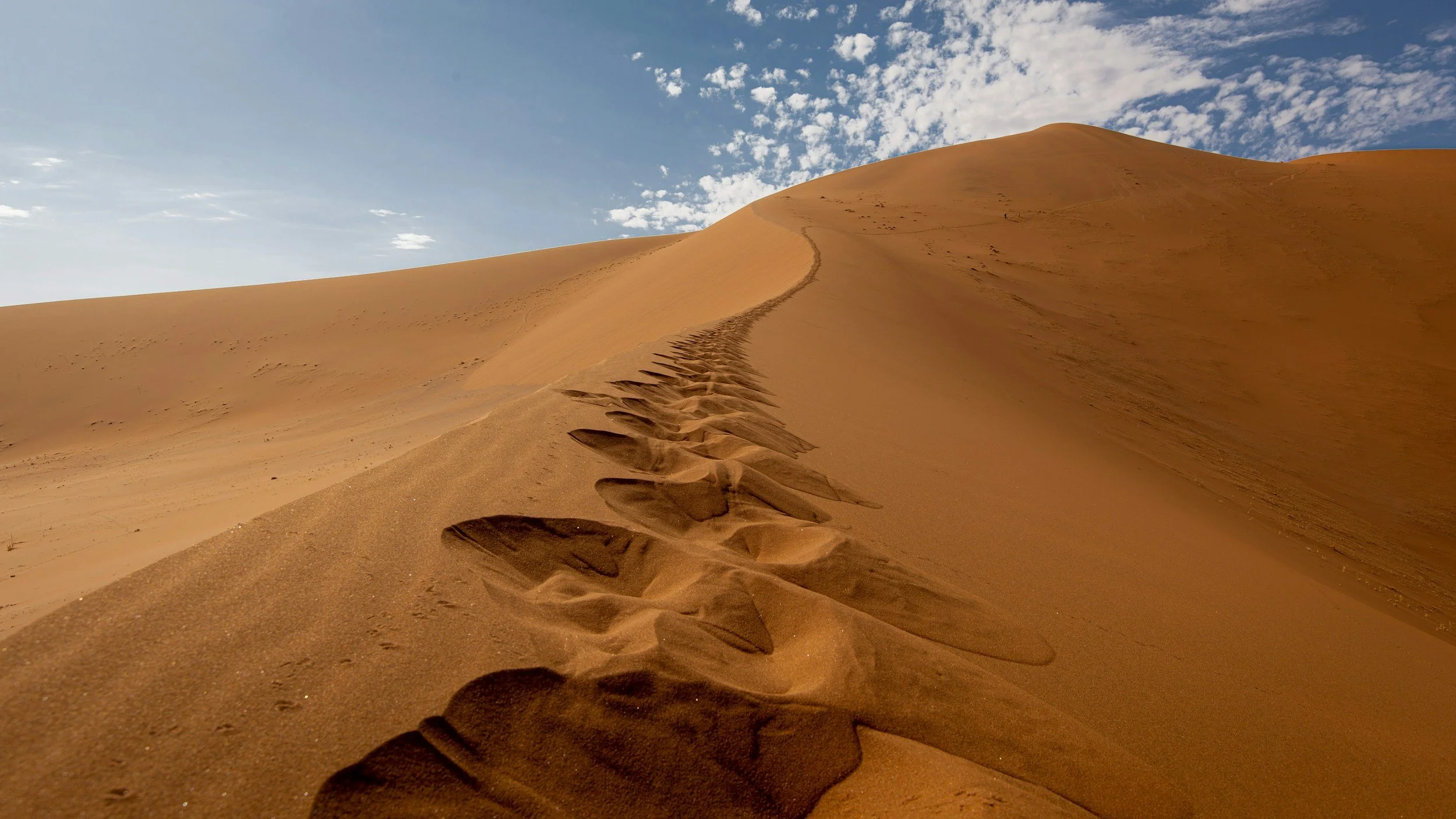 Your career is a journey, not a destination.