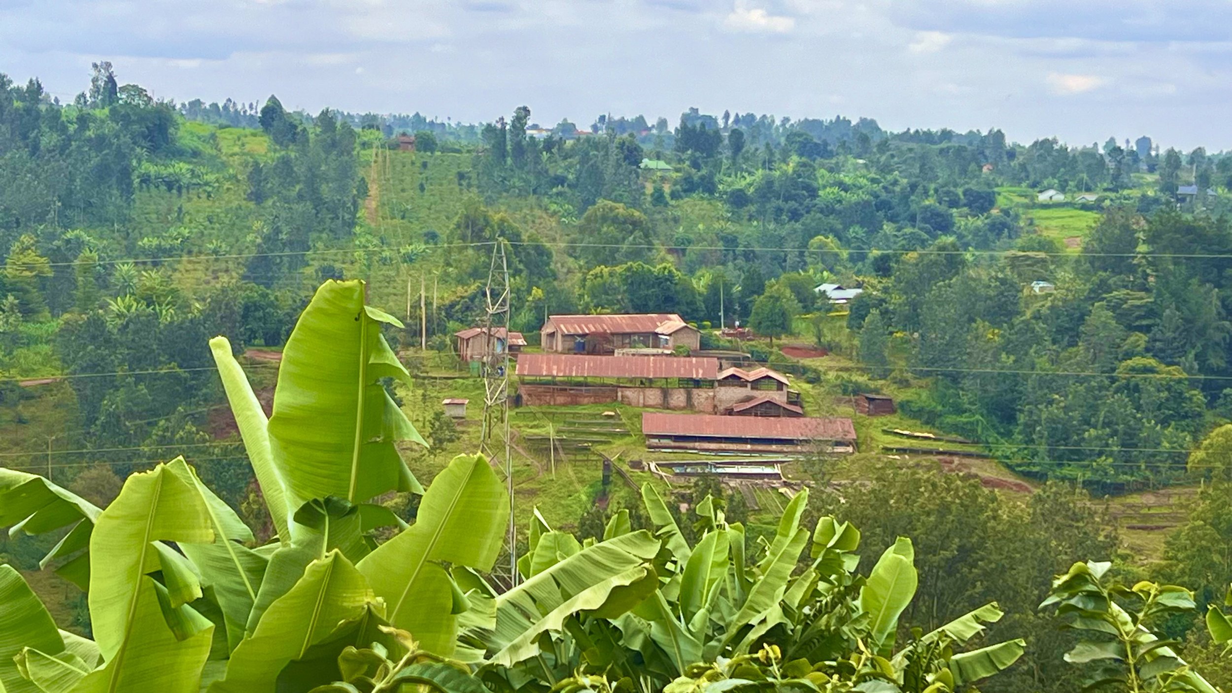 View of the local coffee mill