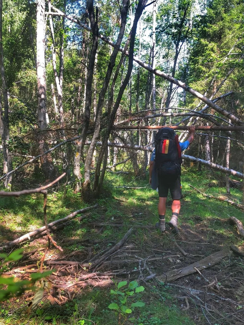 Ich und mein Holz!