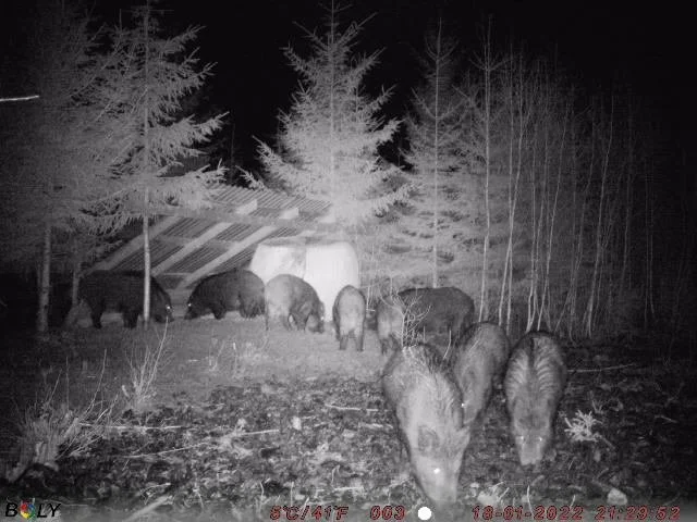 2022-01-18T0831_26558bb9-4ecd-490e-b9b4-f79631576084_640x480 (002).jpeg