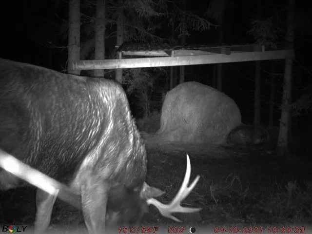 2021-10-04T0540_21e6e588-aaa1-41ce-8046-9bfeca8913cd_640x480 (002).jpeg