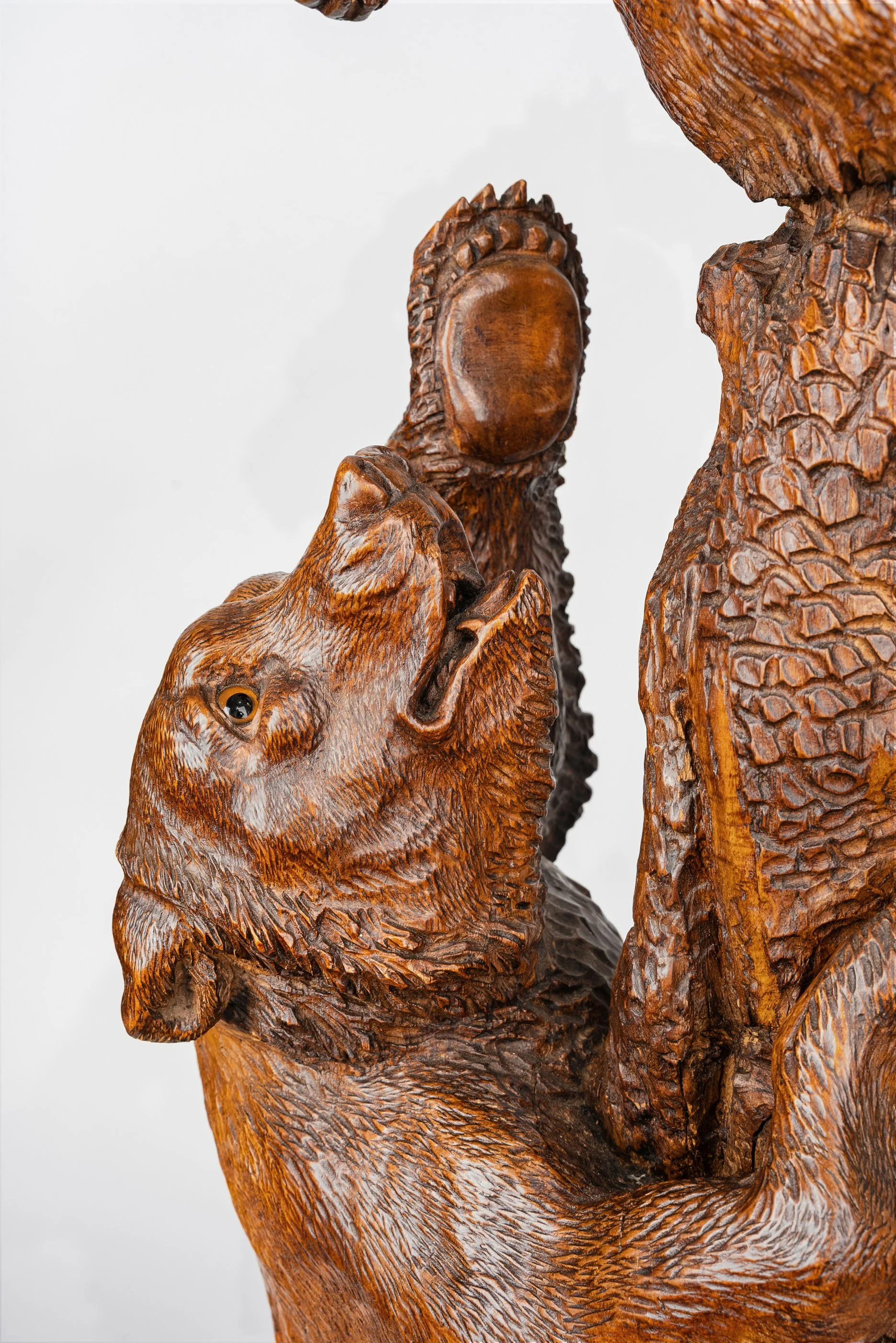 Detail of carved bear head with glass eye, Black Forest jardinière — Daniels Antiques