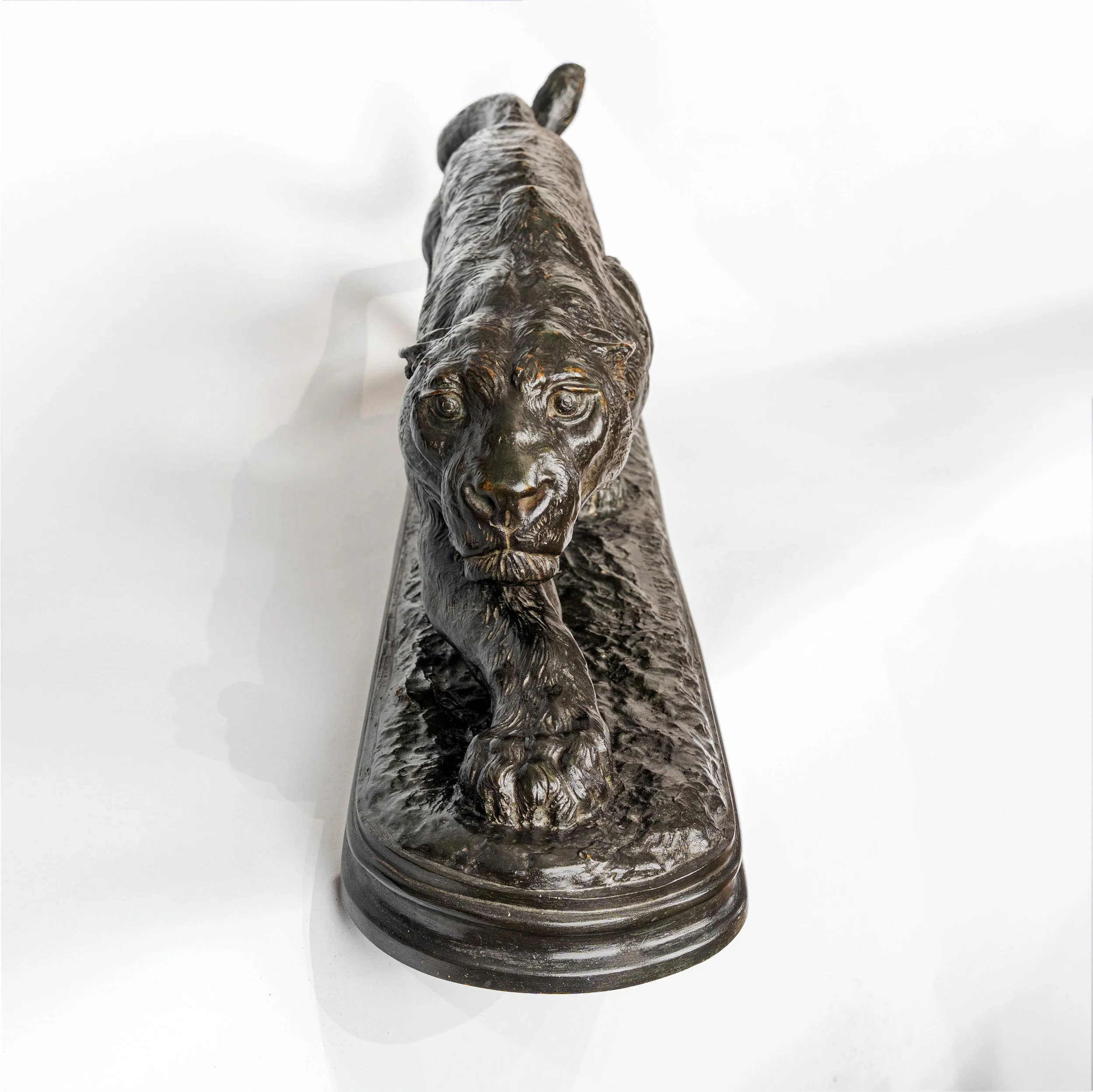Proctor Stalking Panther bronze seen head-on, advancing along its naturalistic base — Daniels Antiques