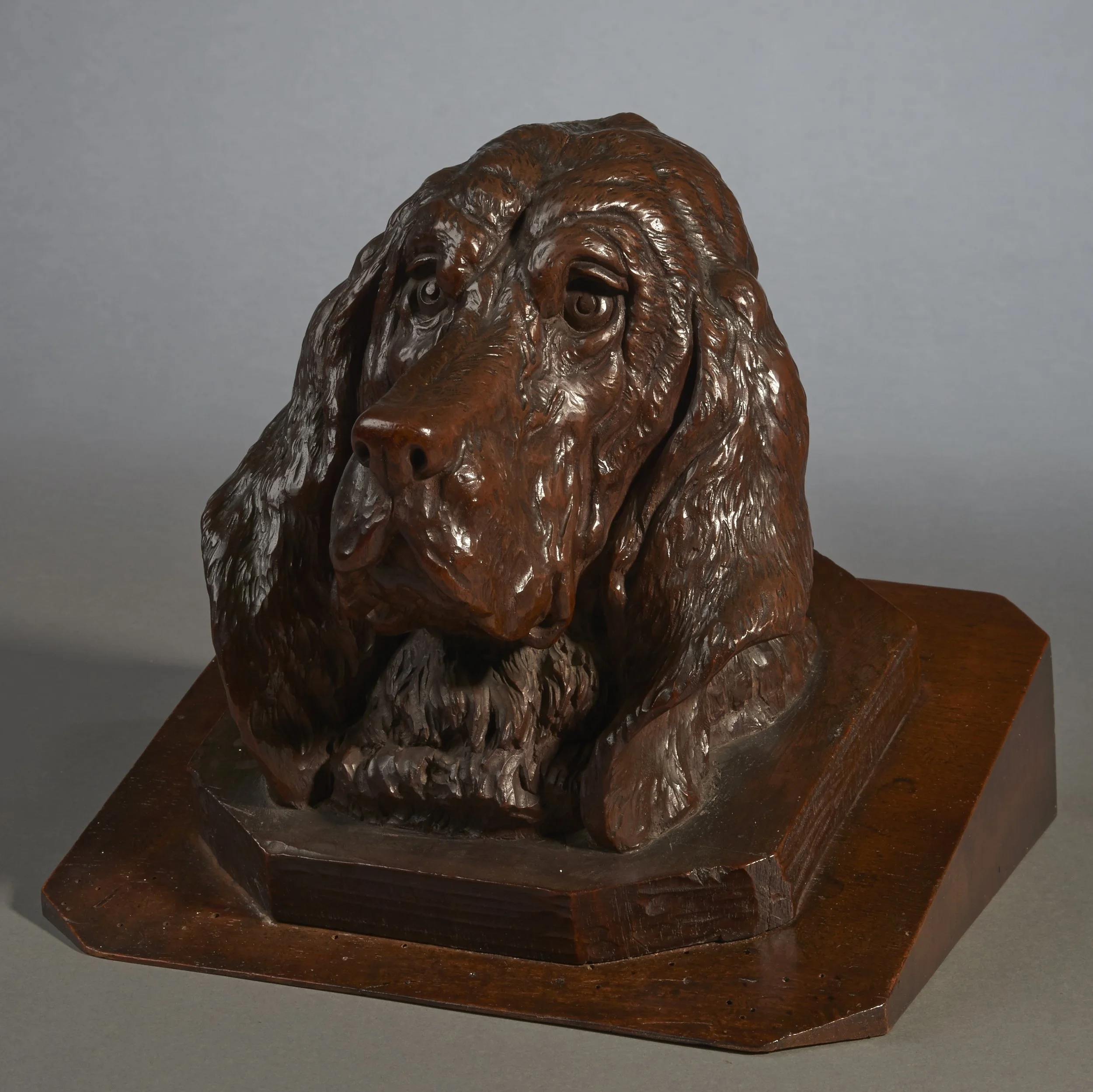 Right profile, Black Forest carved walnut bird dog head, c. 1870
