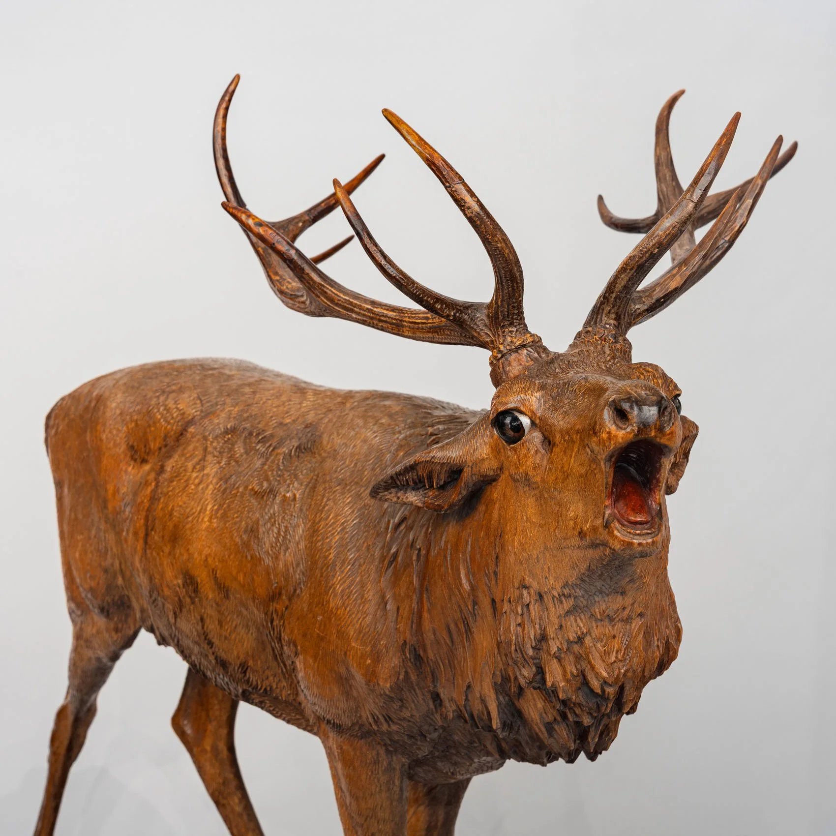 Head detail of monumental Swiss Black Forest bellowing stag, glass eyes and painted mouth, c.1890