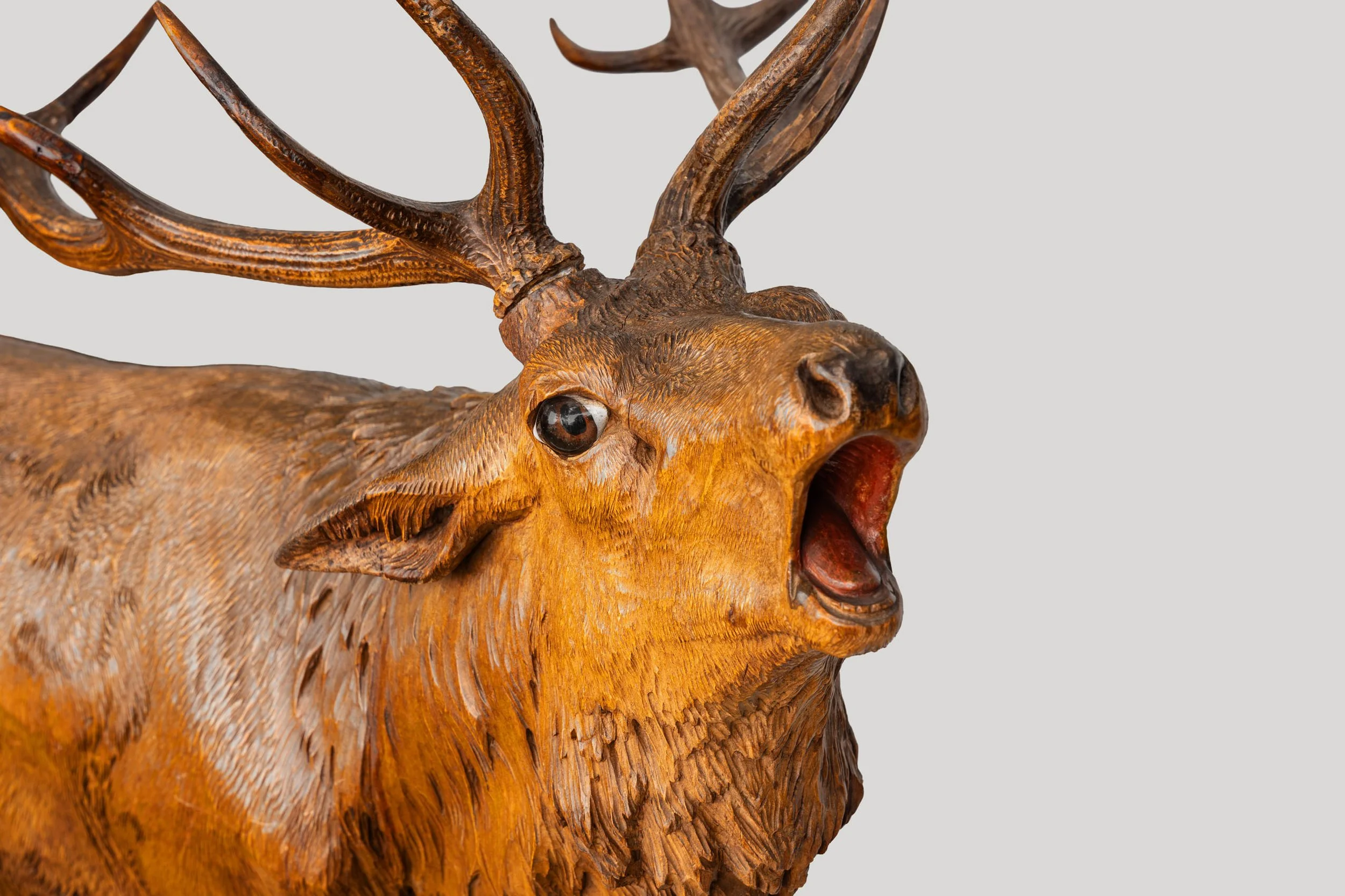 Head detail of monumental Swiss Black Forest bellowing stag, glass eyes and painted mouth, c.1890