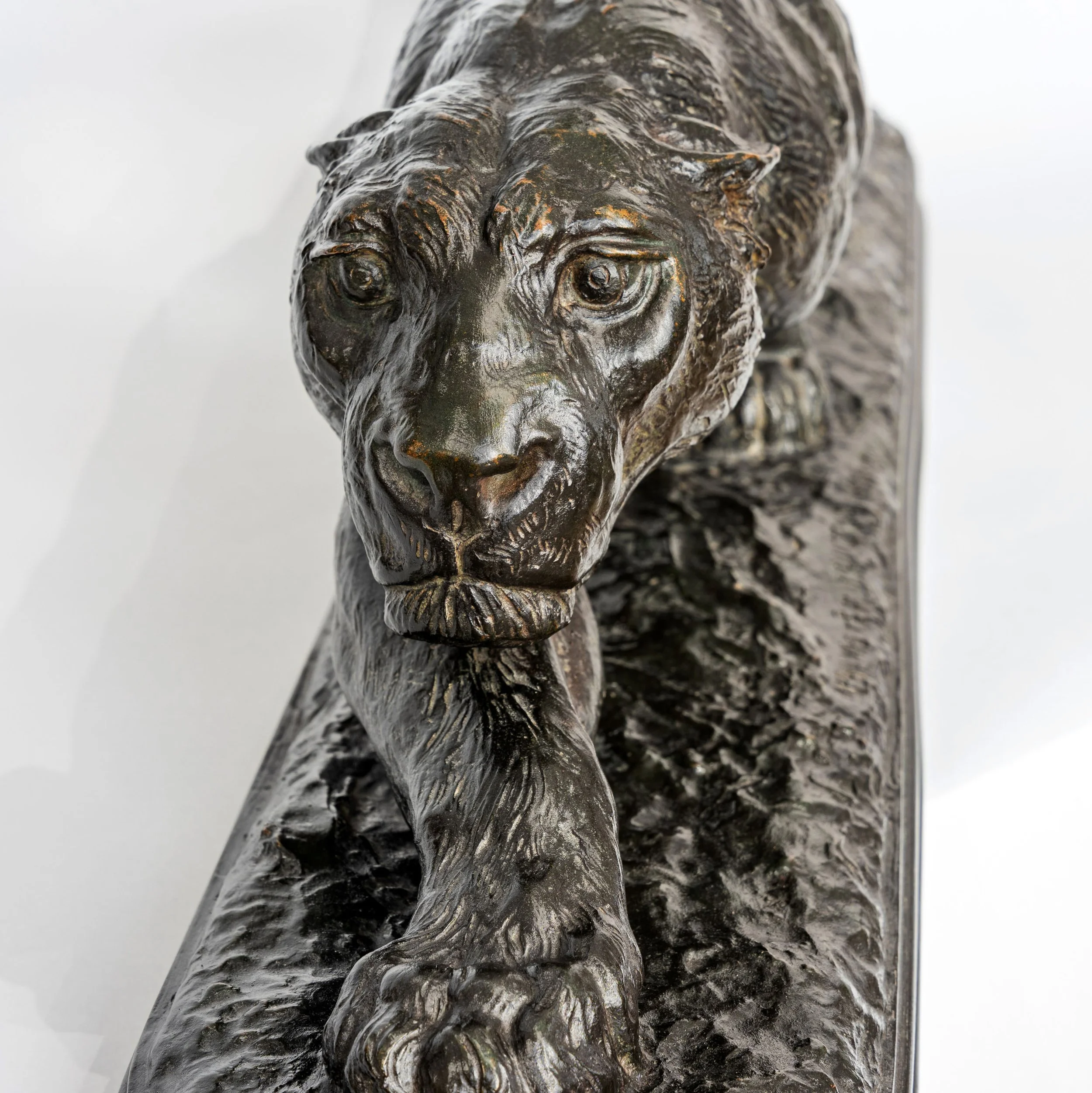 Head of the Proctor Stalking Panther bronze, showing the chased and incised eyes — Daniels Antiques