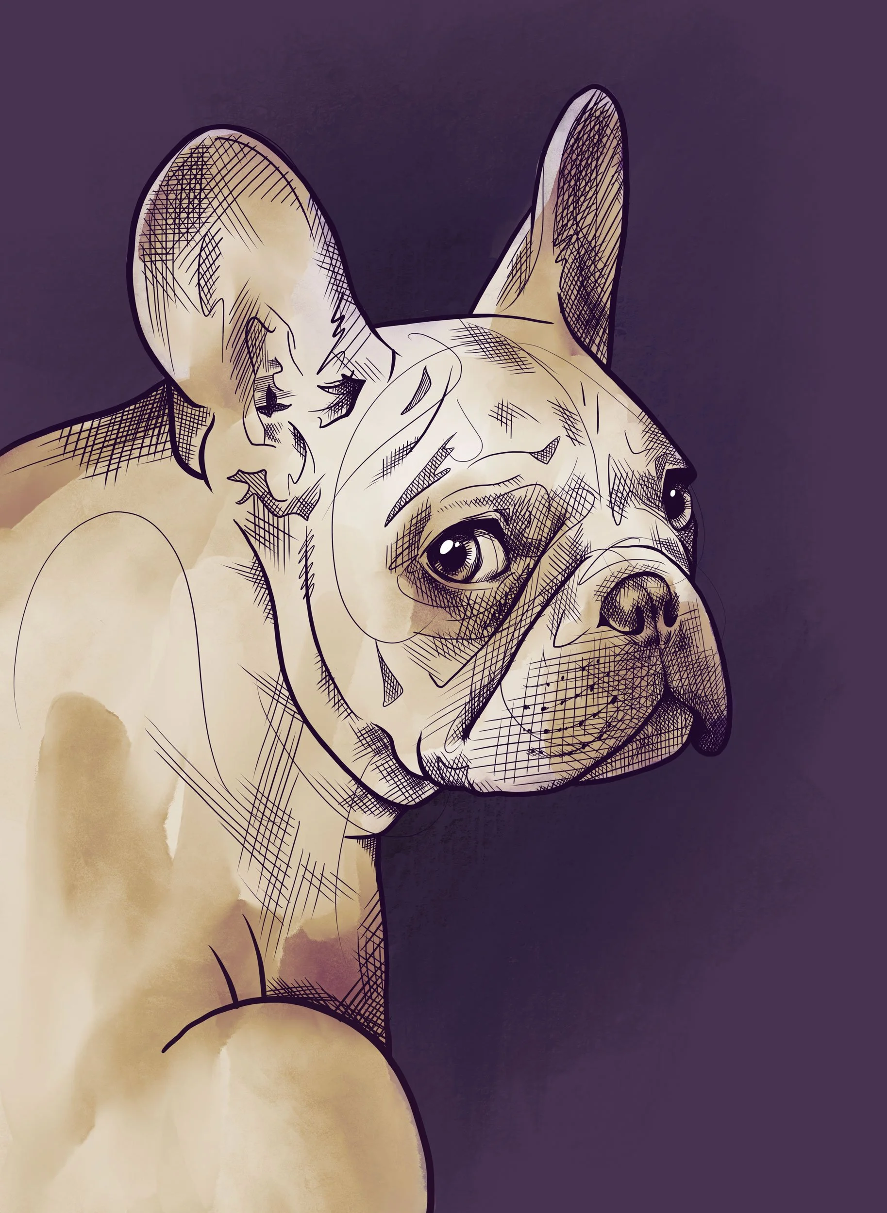 frenchie-purple.jpg