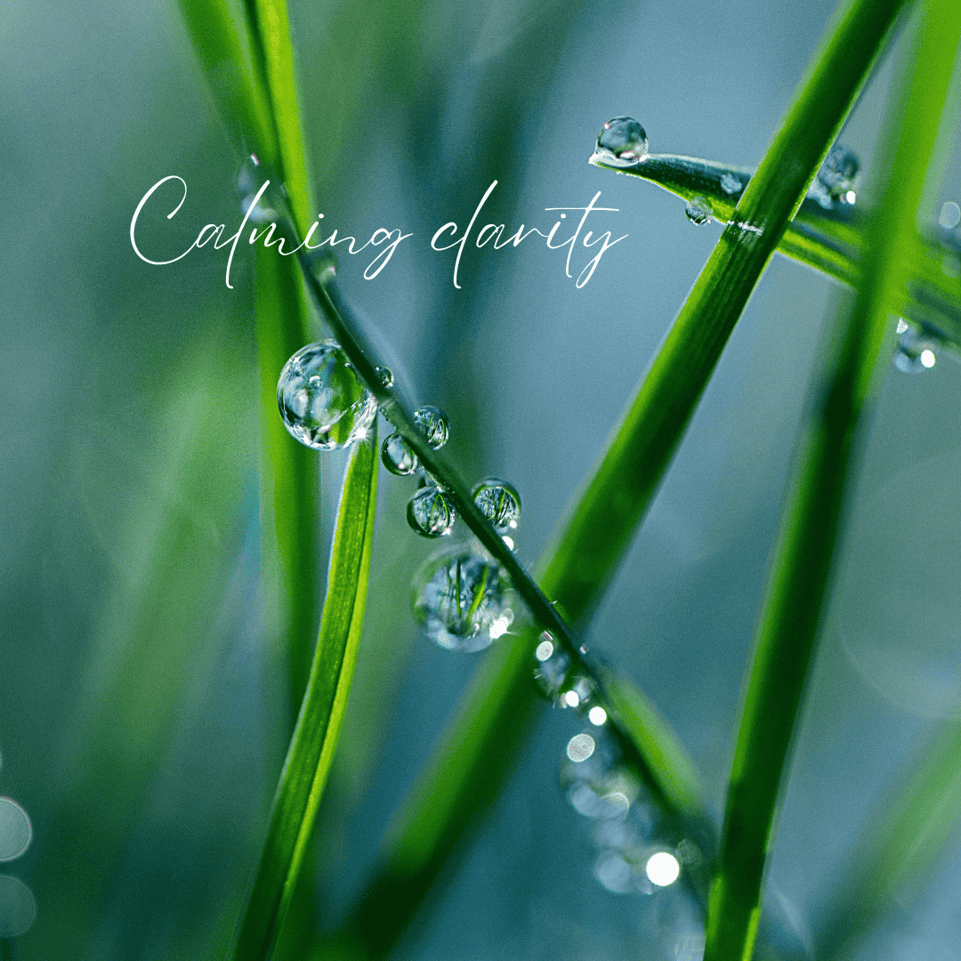 calming clarity after the rain (1).png