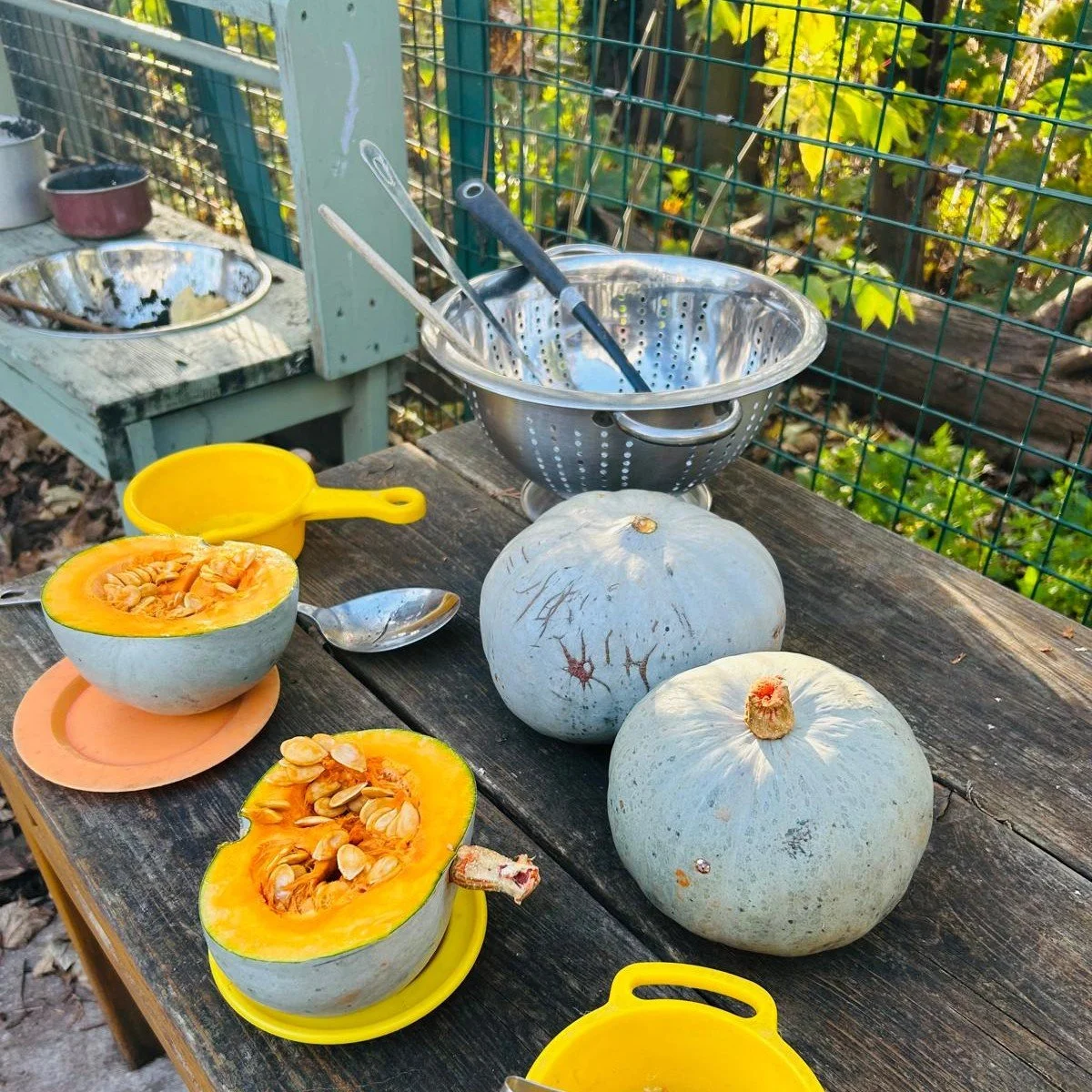 🍁 Autumn Play for Under-5s 🍂

We think there&rsquo;s something magical about this season. We are having lots of fun in our play sessions this week exploring the colours, textures and cosy scents.  We  have some wonderful autumnal themed toys that w