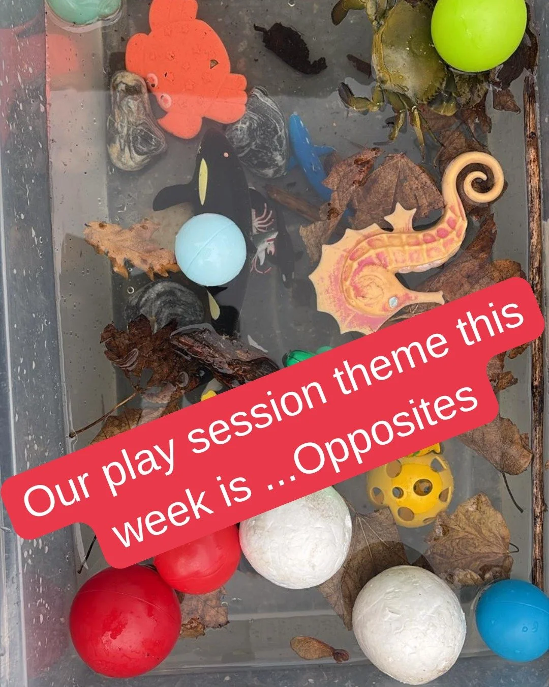 This week&rsquo;s play session theme is OPPOSITES. 
Because every under-5 already has a PhD in doing the exact opposite of what you asked&hellip;
&ldquo;Please walk.&rdquo; &rarr; runs
&ldquo;Indoor voice.&rdquo; &rarr; opera solo 🎤
"Eat your p