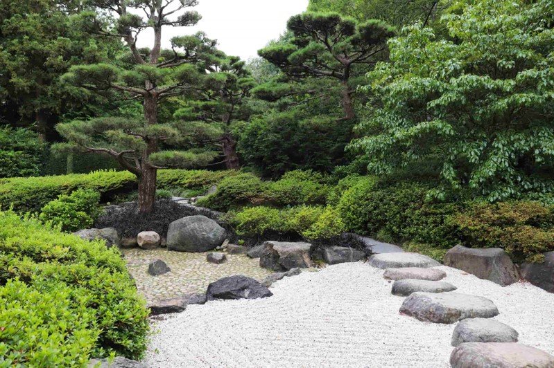 Boulder Stepping Stones On Racked Self Binding Gravel With Bonsai Trees In Japanese Garden